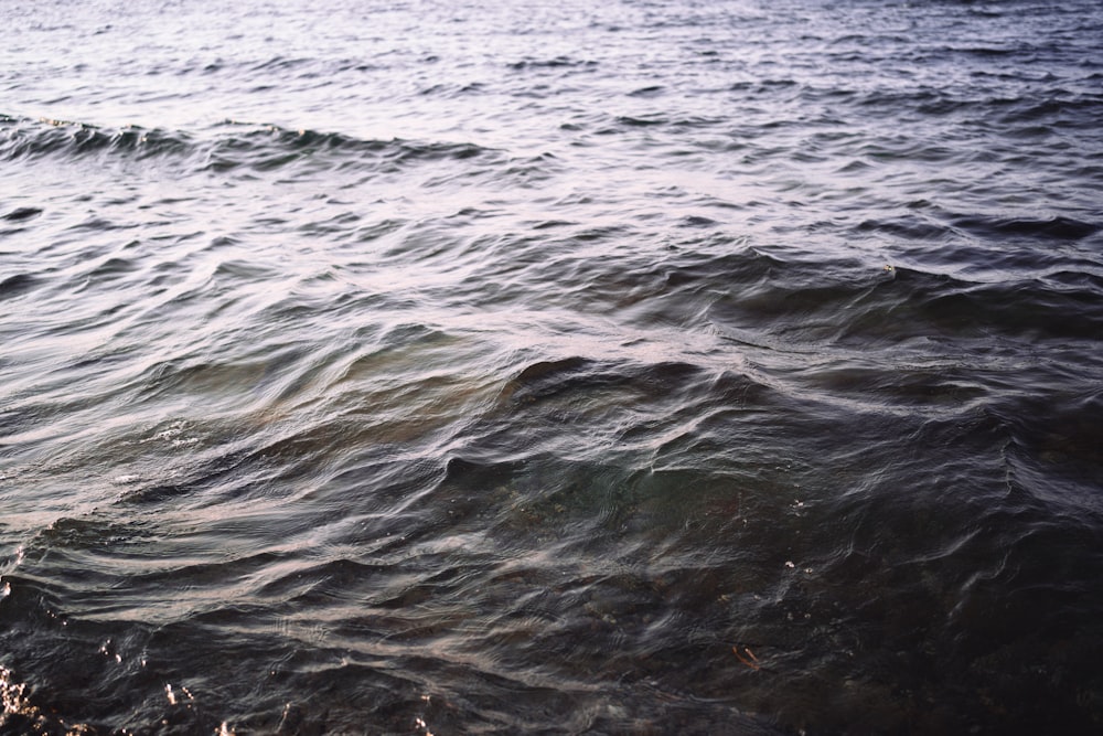 a body of water with waves coming in and out of it