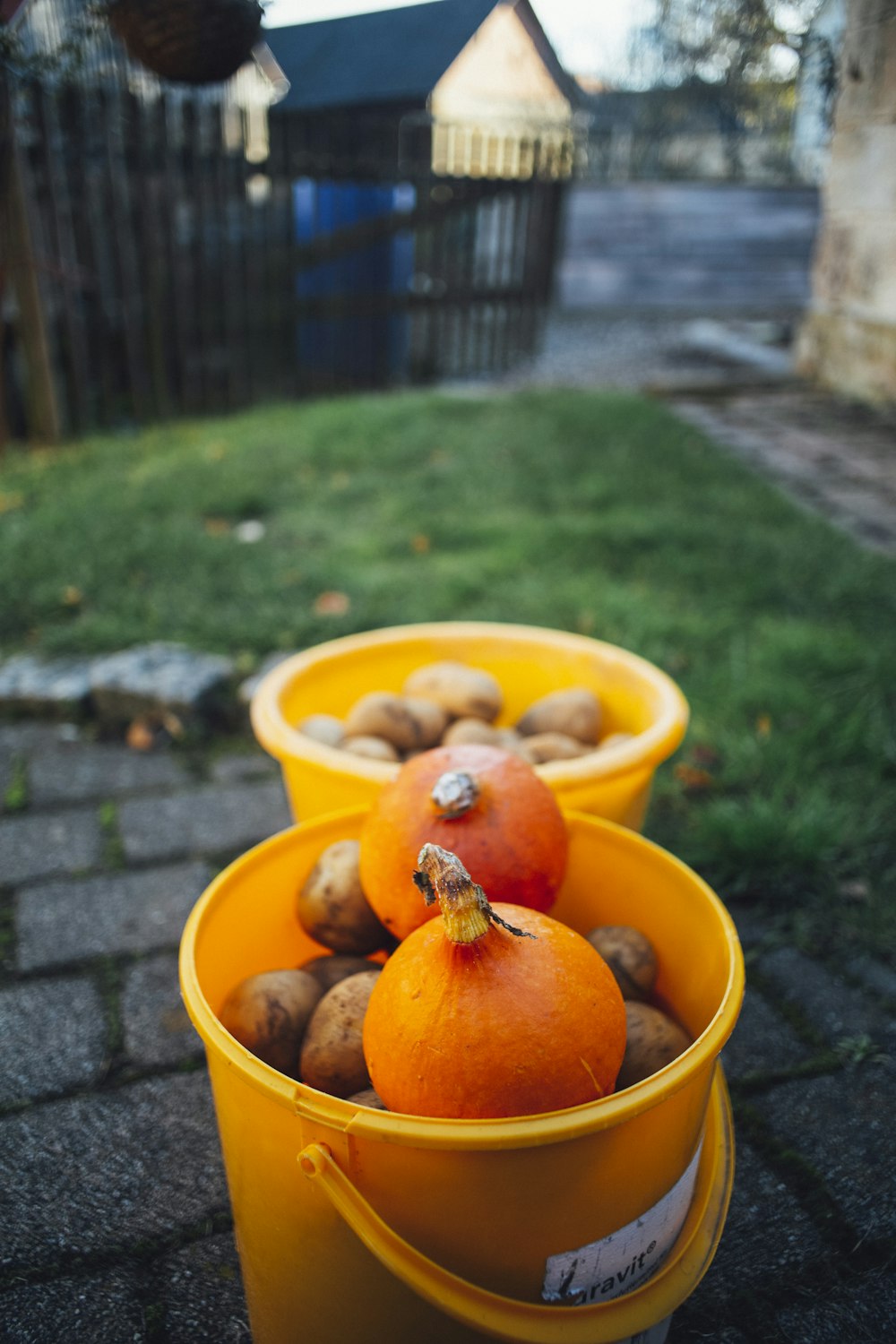 a couple of buckets filled with lots of fruit