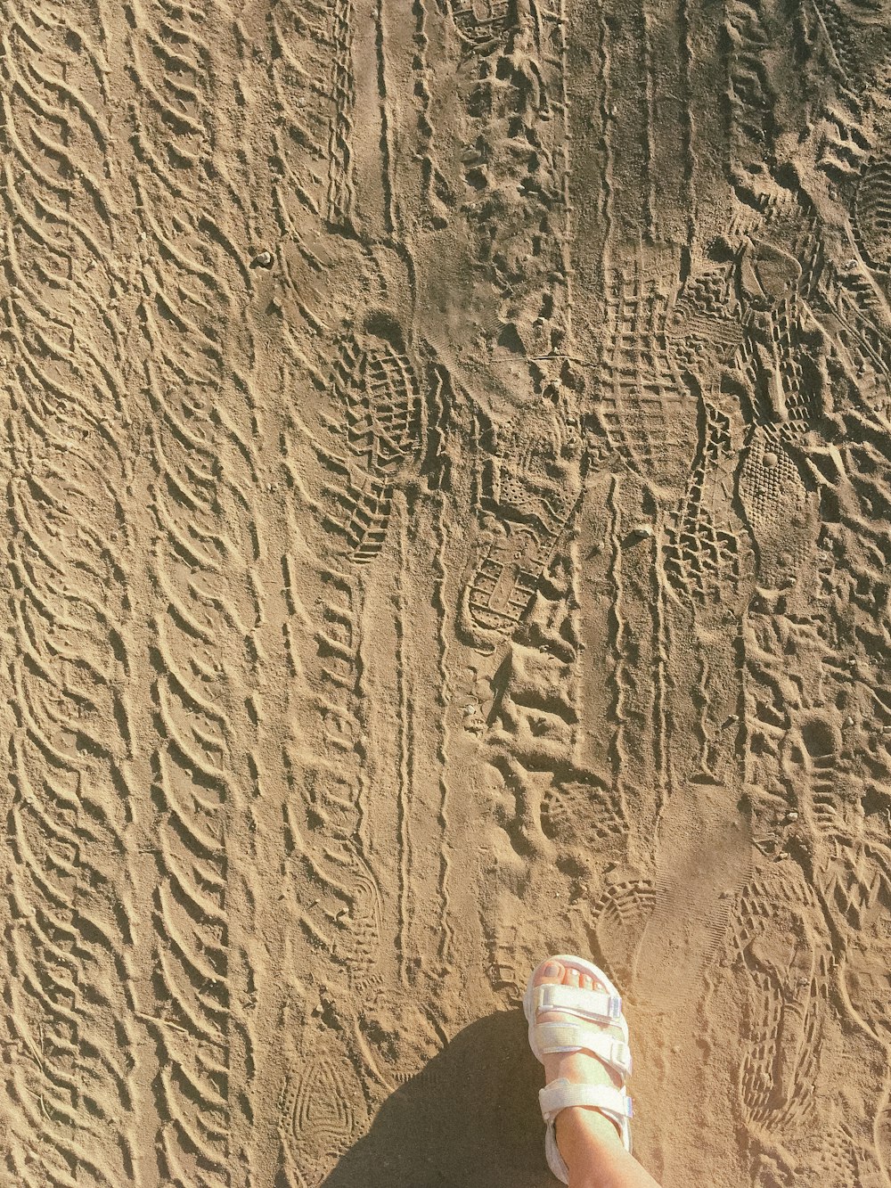 a person standing on a beach with their feet in the sand