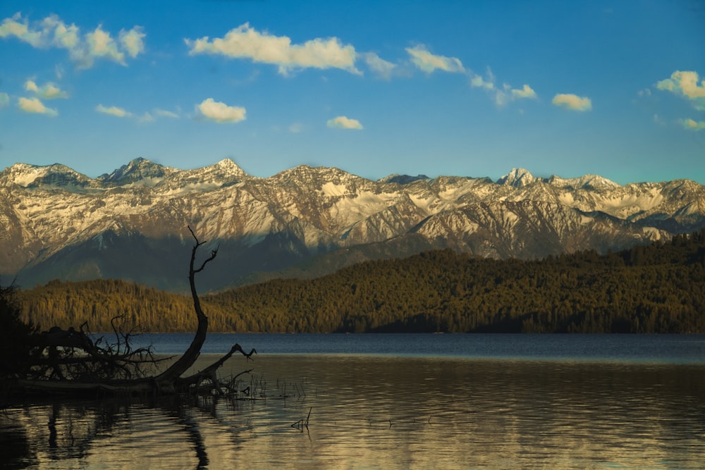 a large body of water with mountains in the background