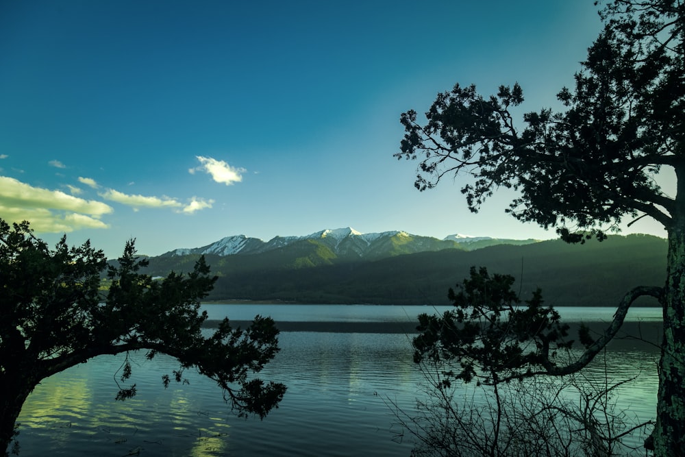 Ein von Bäumen und Bergen umgebener See unter blauem Himmel