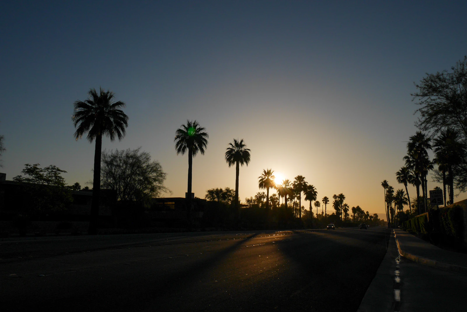 Sun setting behind Palm Springs palm trees