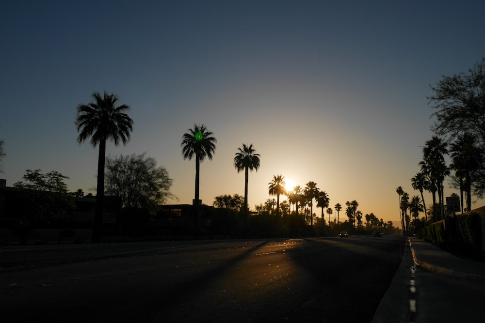 the sun is setting behind palm trees on the side of the road