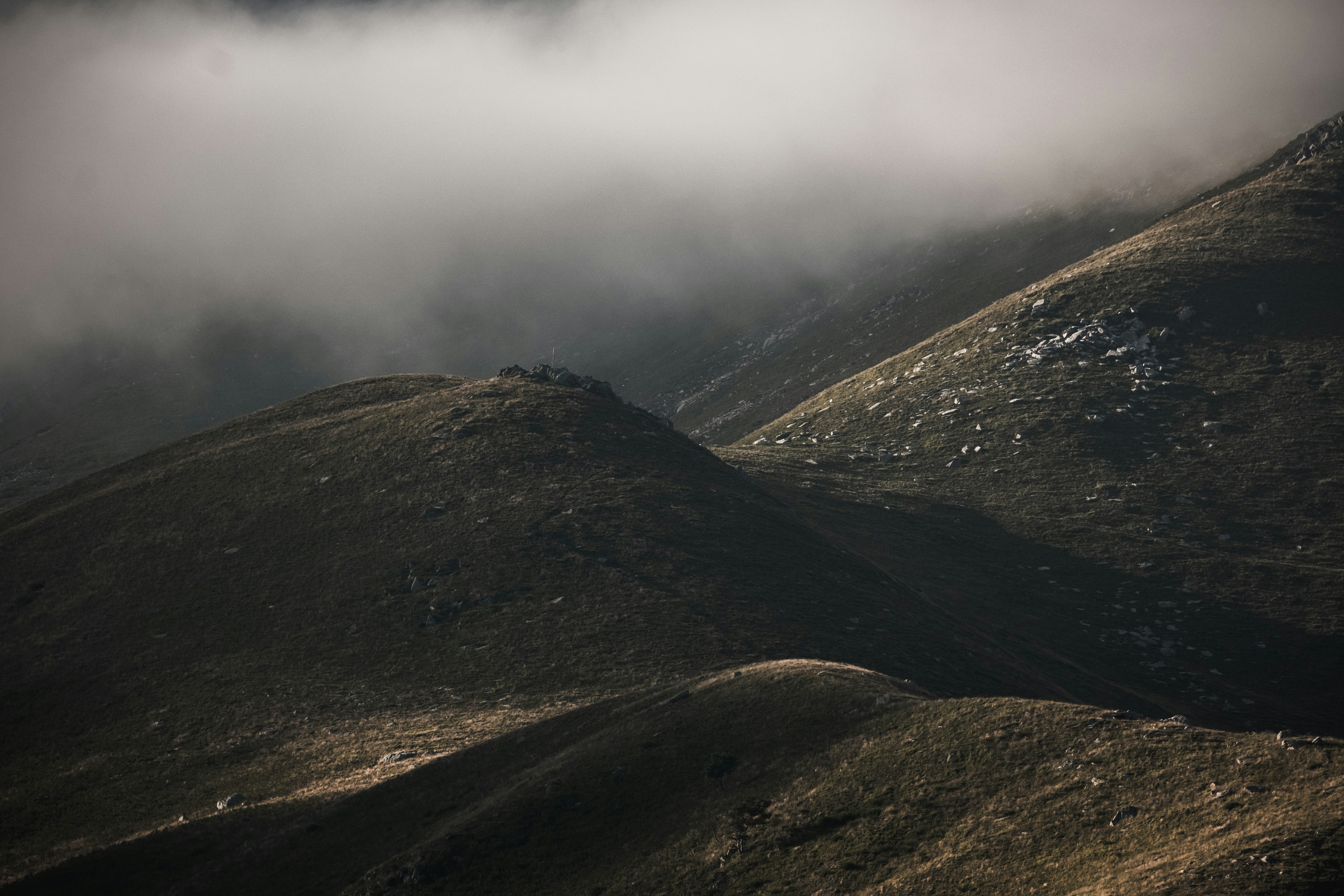 Photo by francesco_ungaro