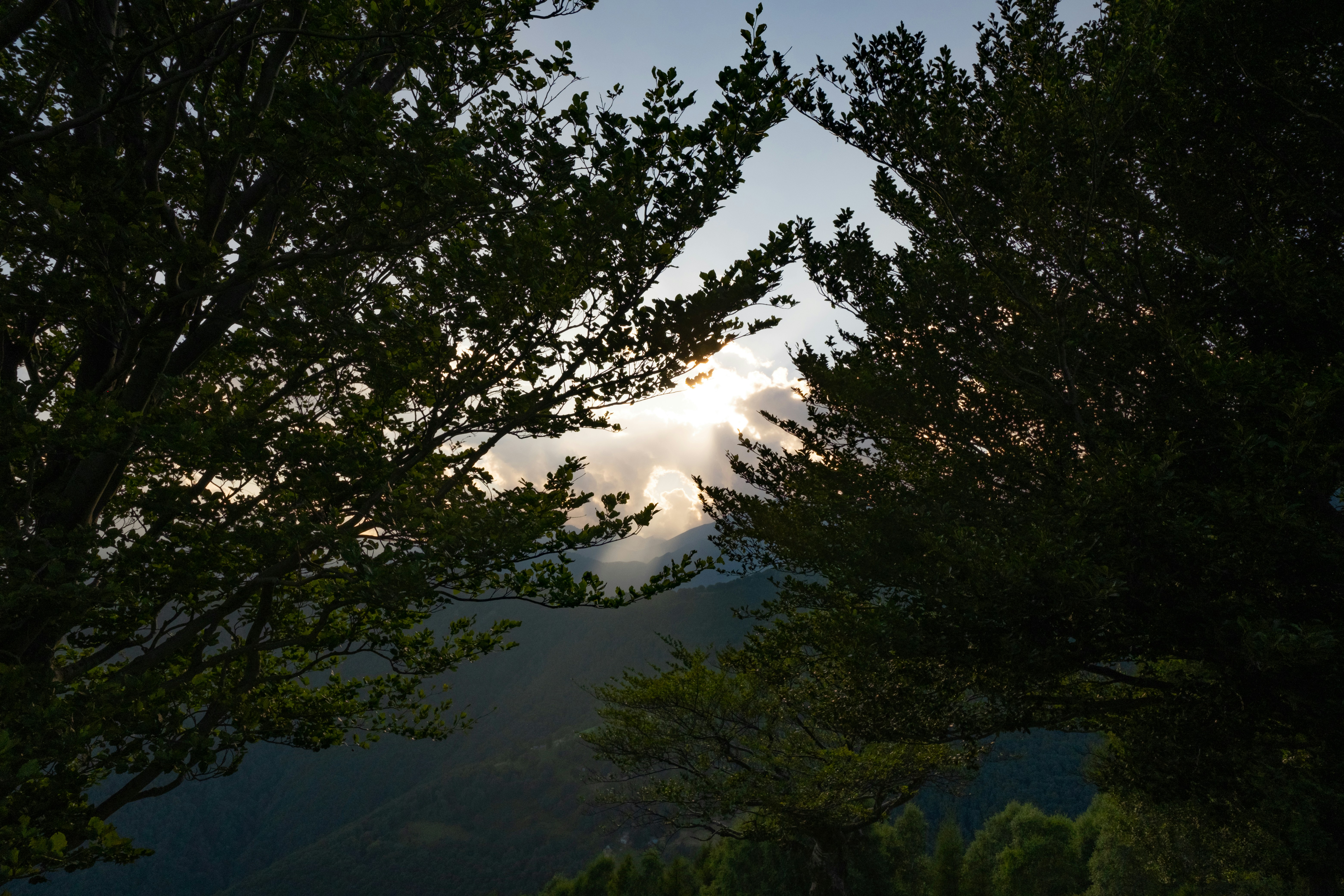 Photo by francesco_ungaro