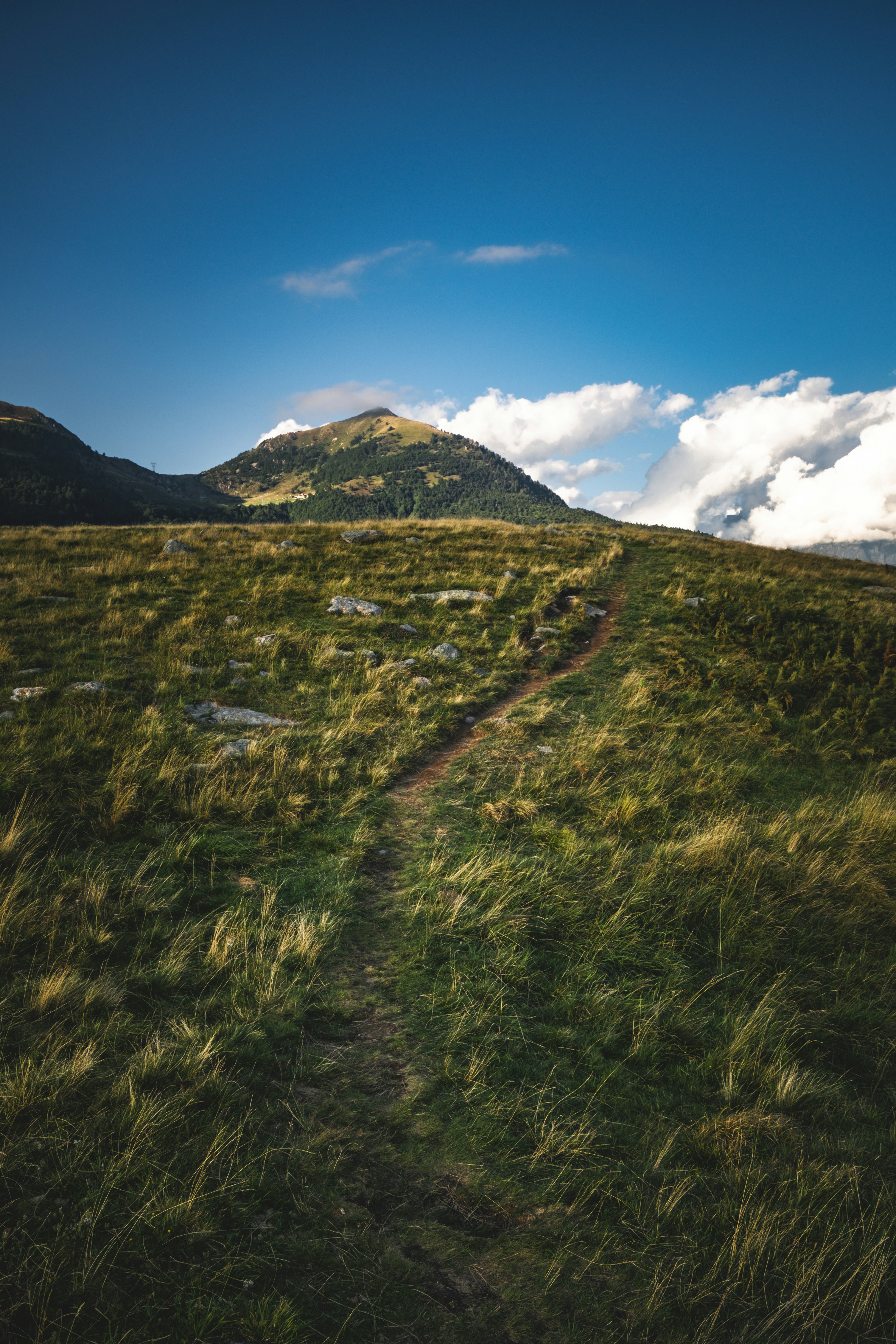 Photo by francesco_ungaro