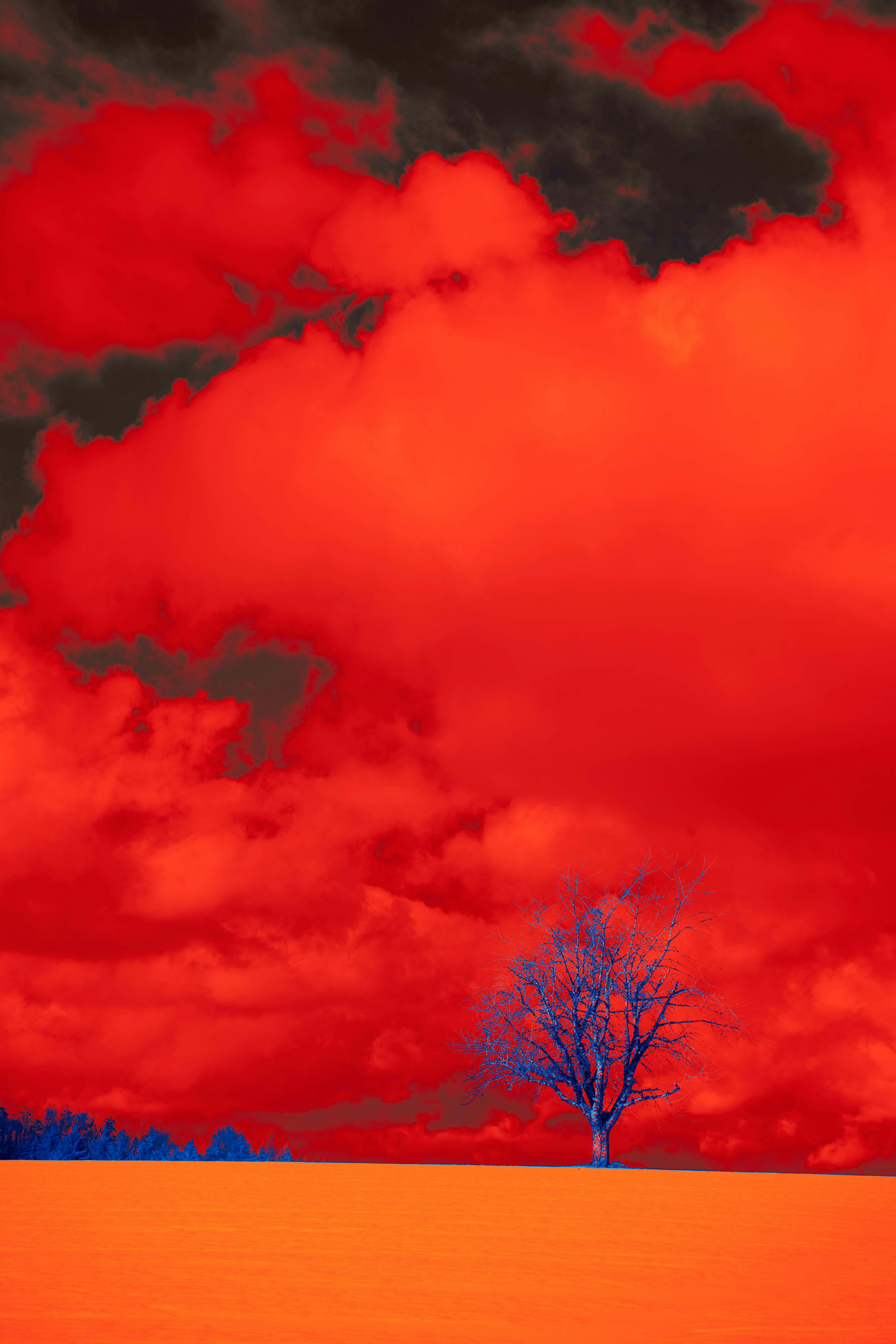 Photo by wolfgang_hasselmann