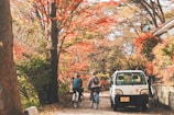 An adventurous couple riding bicycles along a forest trail surrounded by vibrant autumn leaves.