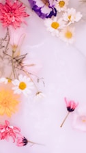Various flowers, including daisies and chrysanthemums, are artfully arranged on a soft pink background. The composition includes vibrant colors like pink, purple, yellow, and white, creating a delicate and calming atmosphere.