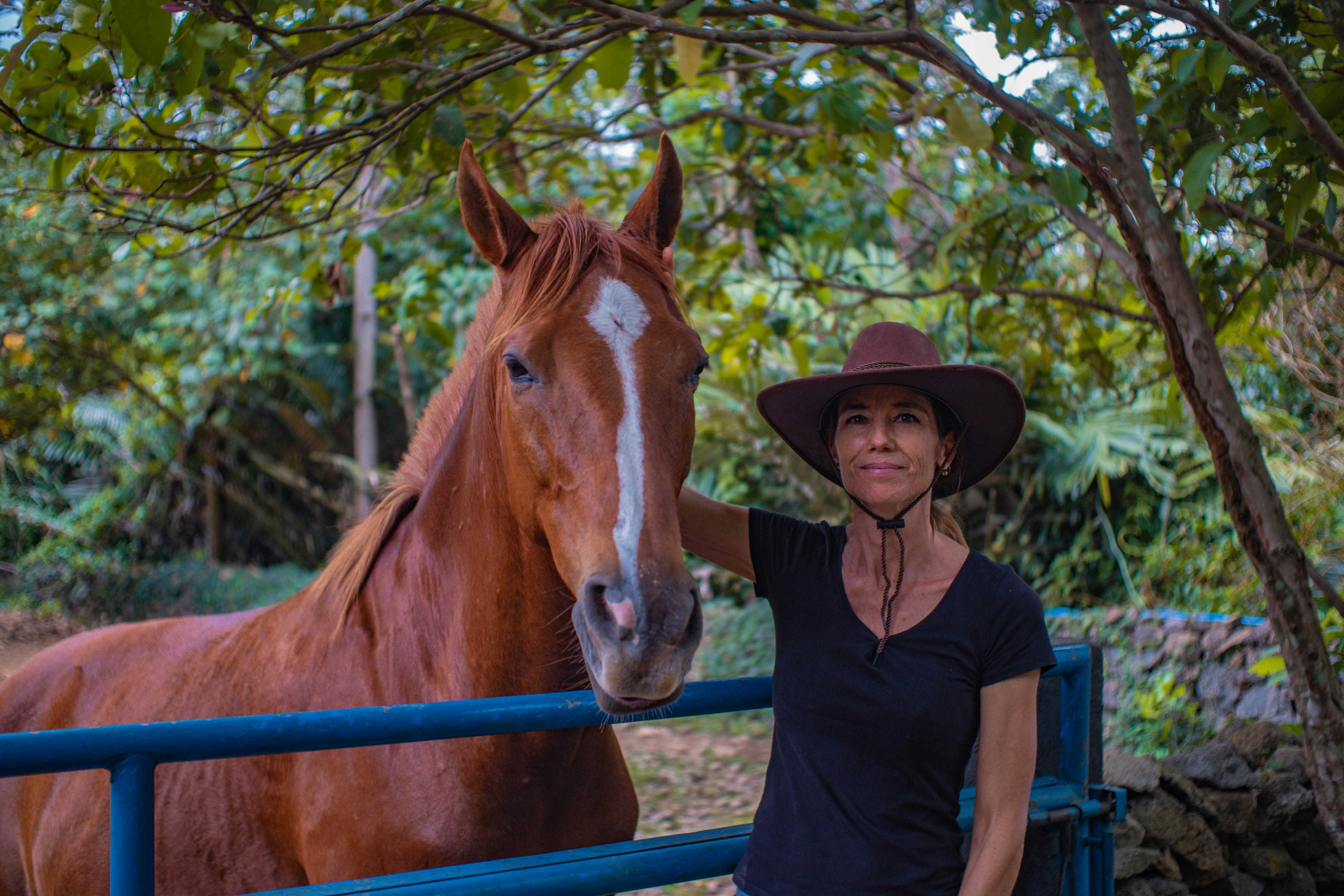 a woman standing next to a brown horse