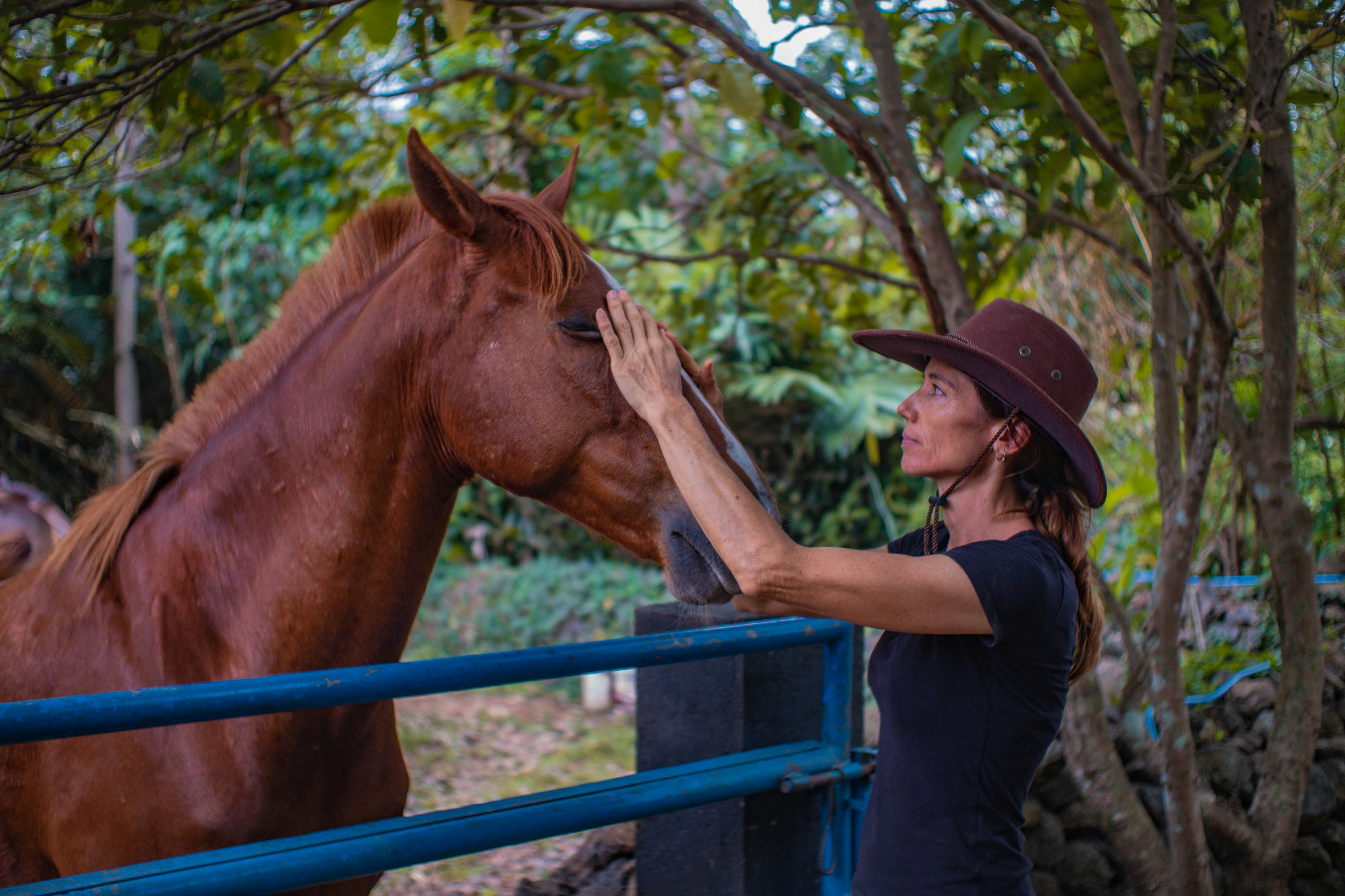 a woman petting a brown horse behind a blue fence