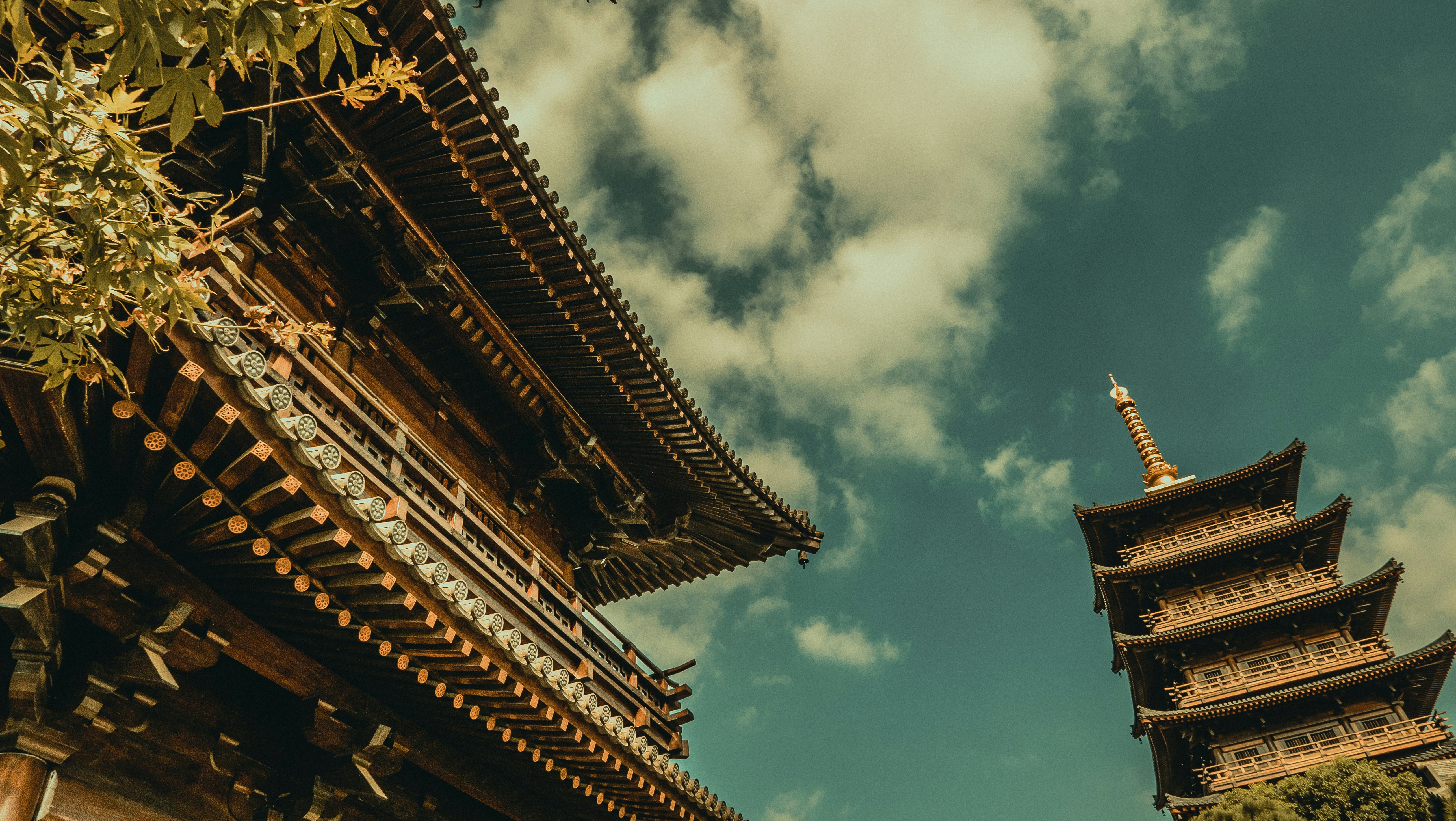 Photo by stephen2011