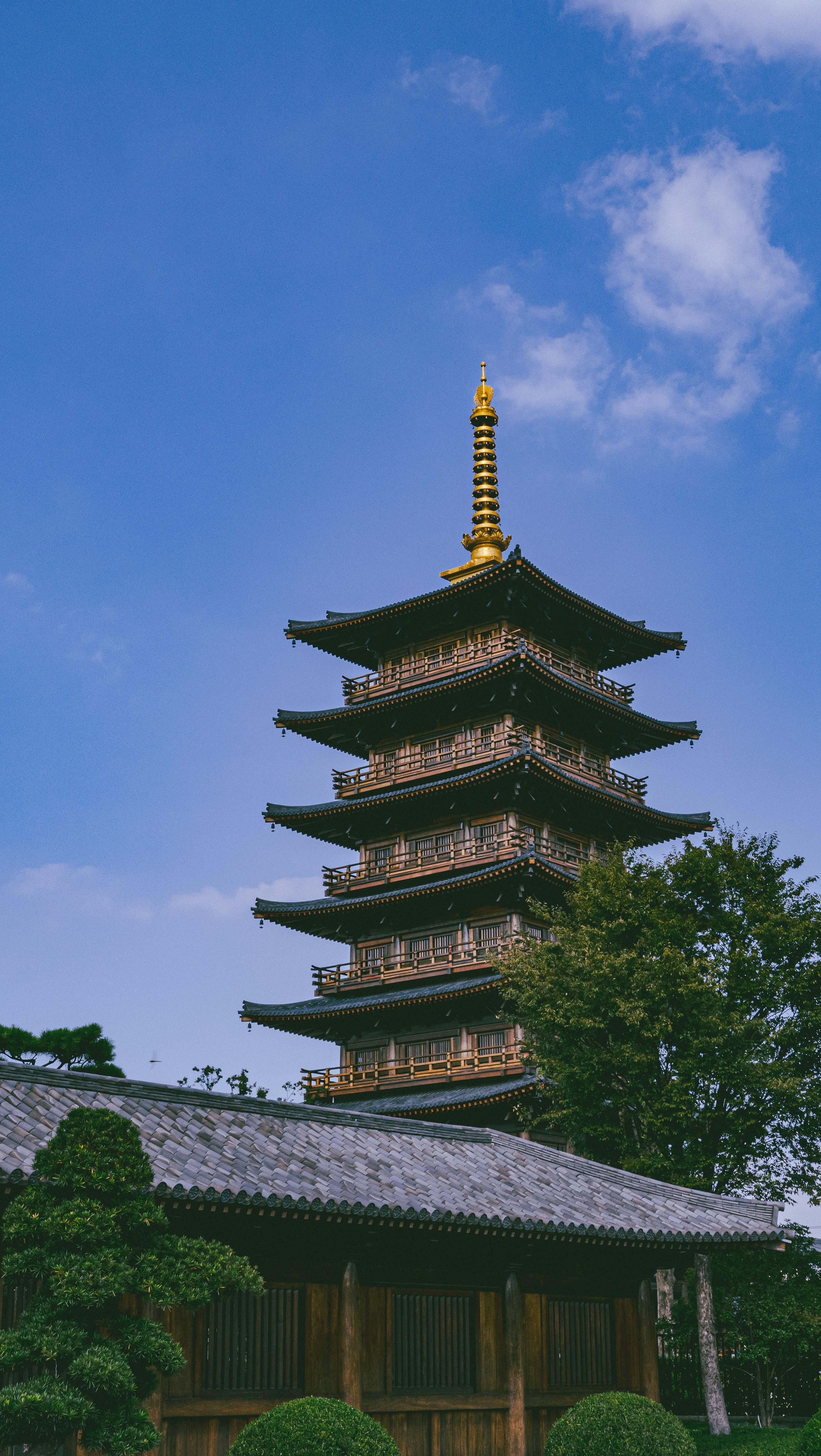 Photo by stephen2011