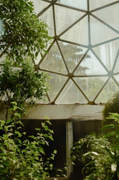 A lush, green environment with abundant foliage surrounding a large geometric glass structure. The glass has a web-like pattern and allows natural light to filter through. The space appears to be a greenhouse or a conservatory, providing a tranquil atmosphere filled with various types of plants thriving under the dappled sunlight.