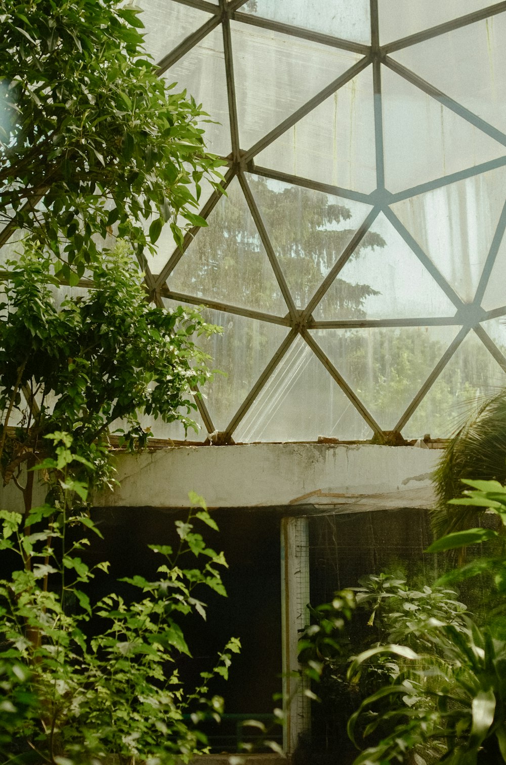 a view of the inside of a greenhouse