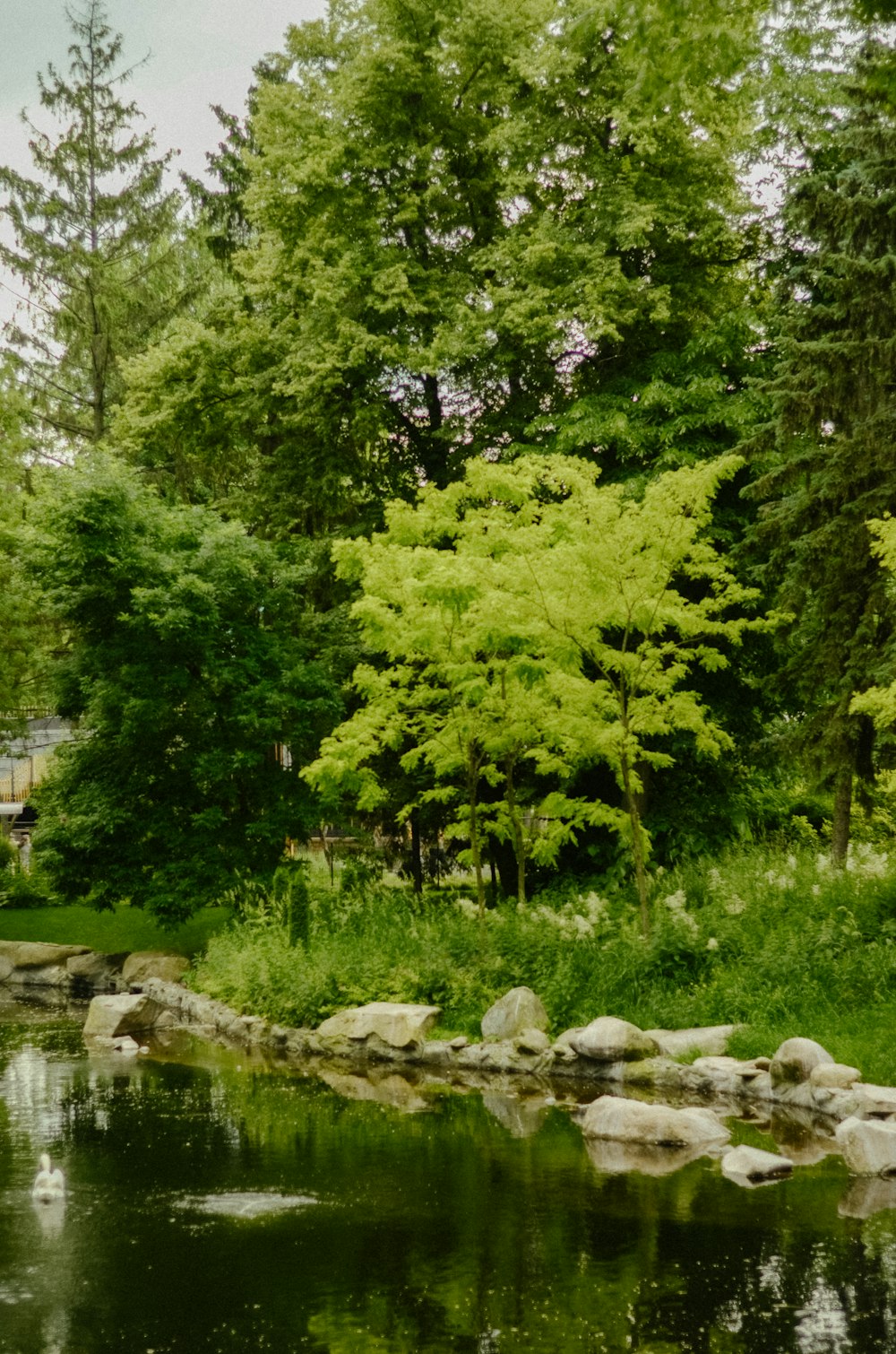 木々や岩に囲まれた小さな池