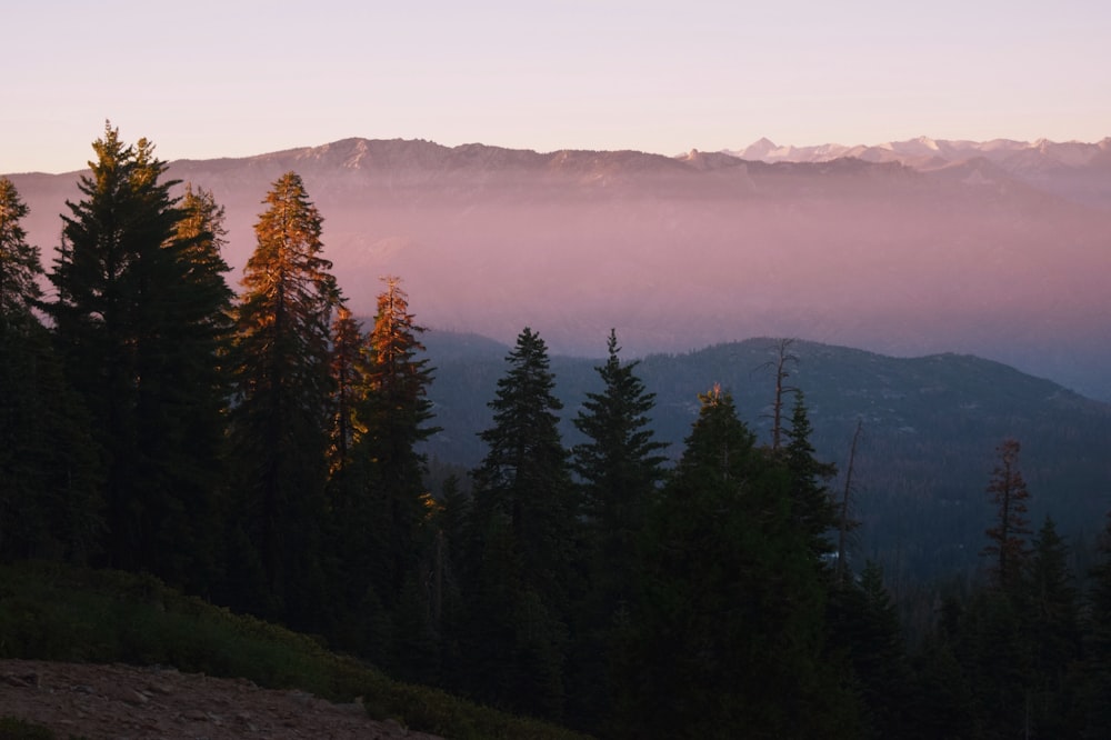 a view of a mountain range with trees in the foreground