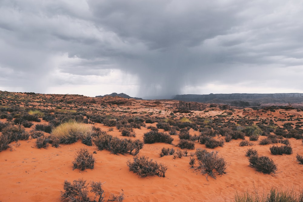 a storm rolls in over a desert landscape