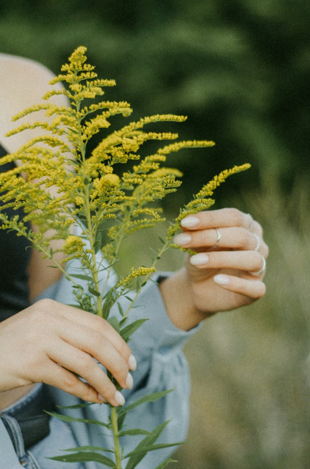 a woman holding a plant in her hands