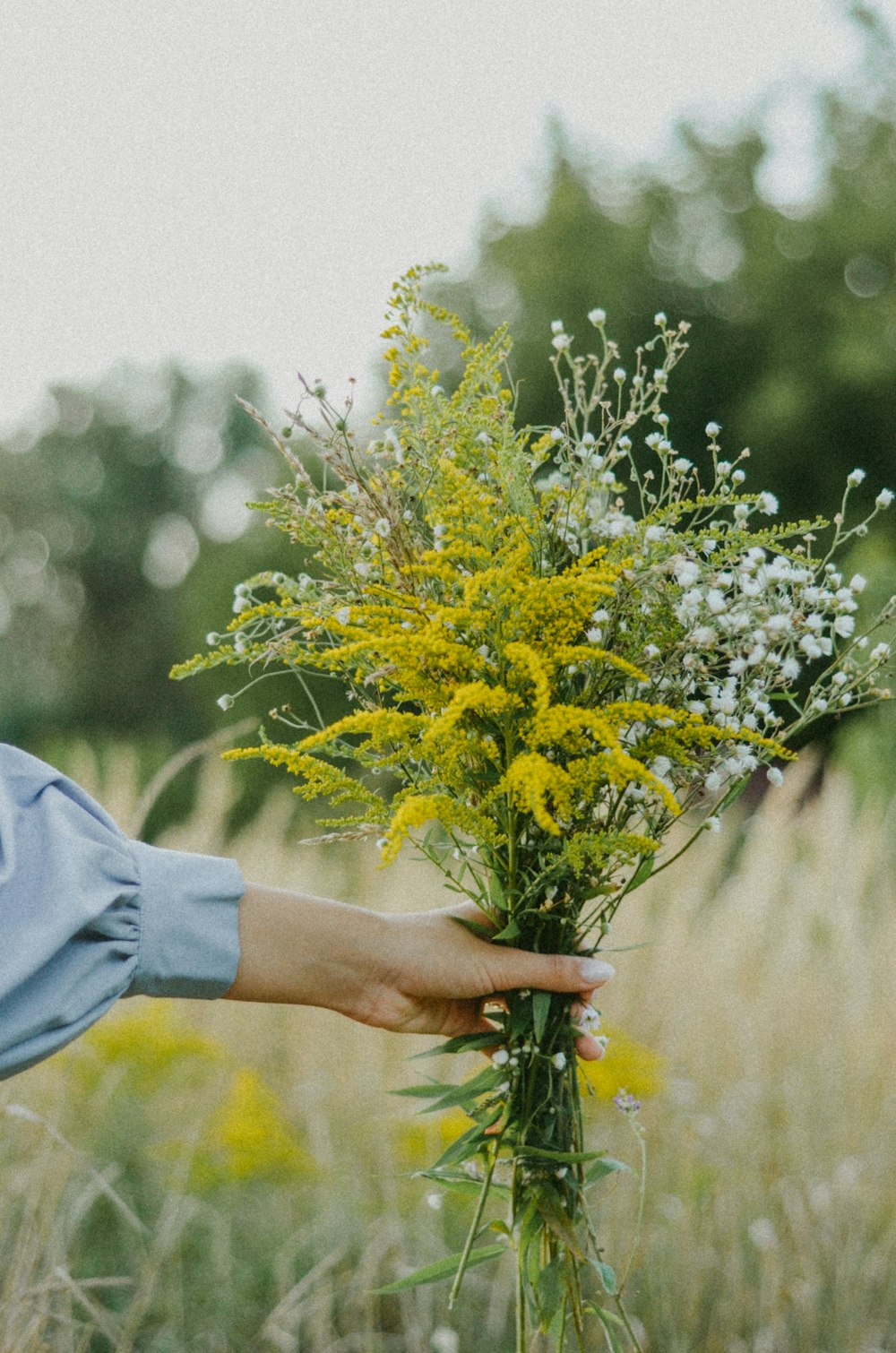 a person holding a bunch of flowers in a field