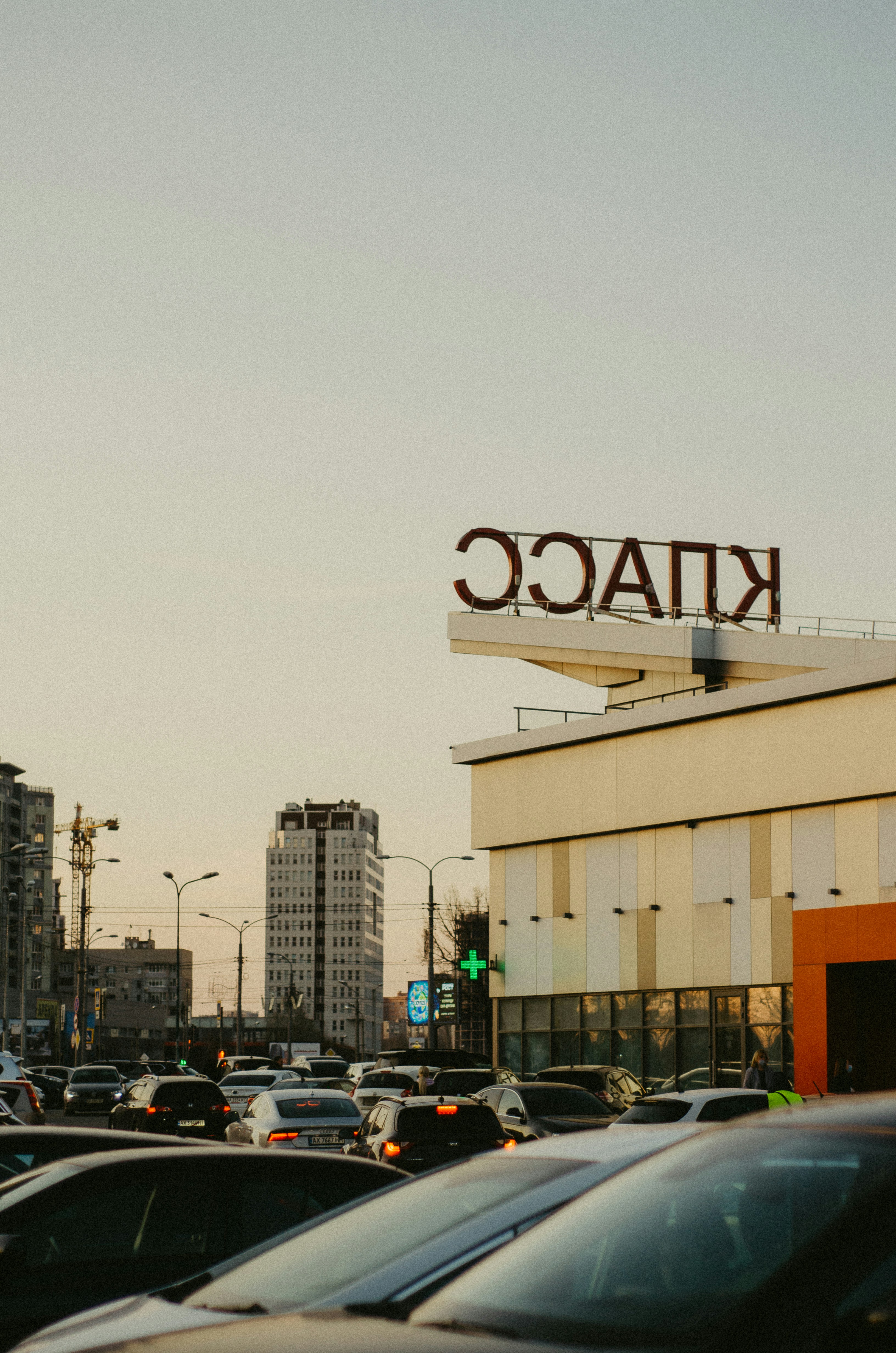 How To Manage Oxalates During Life Transitions