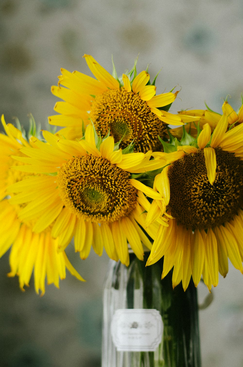 a vase filled with lots of yellow sunflowers