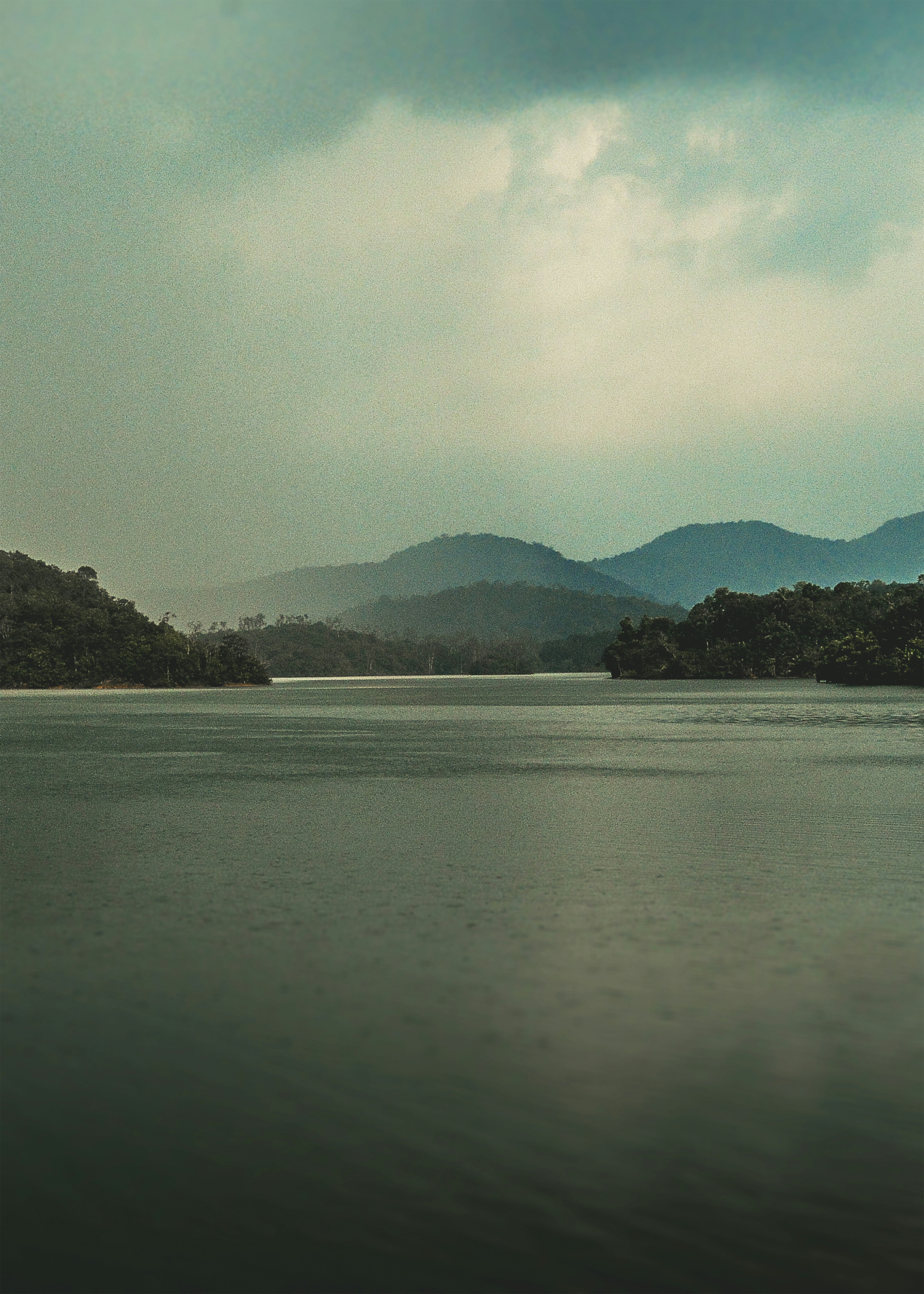 Photo by abhilashbalakrishnan97