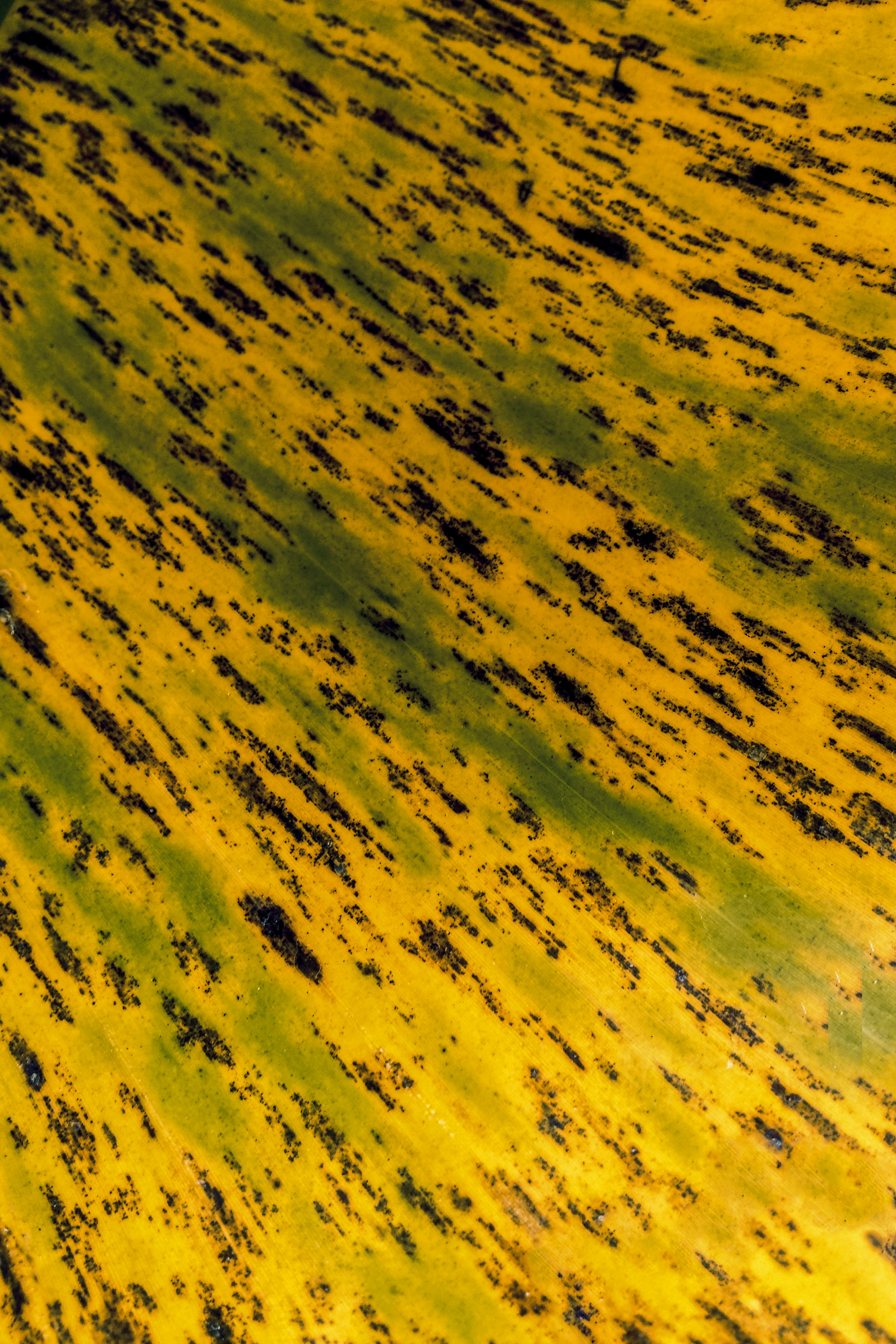 Photo by abhilashbalakrishnan97