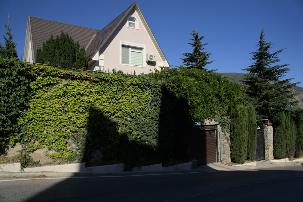 a house covered in vines next to a street