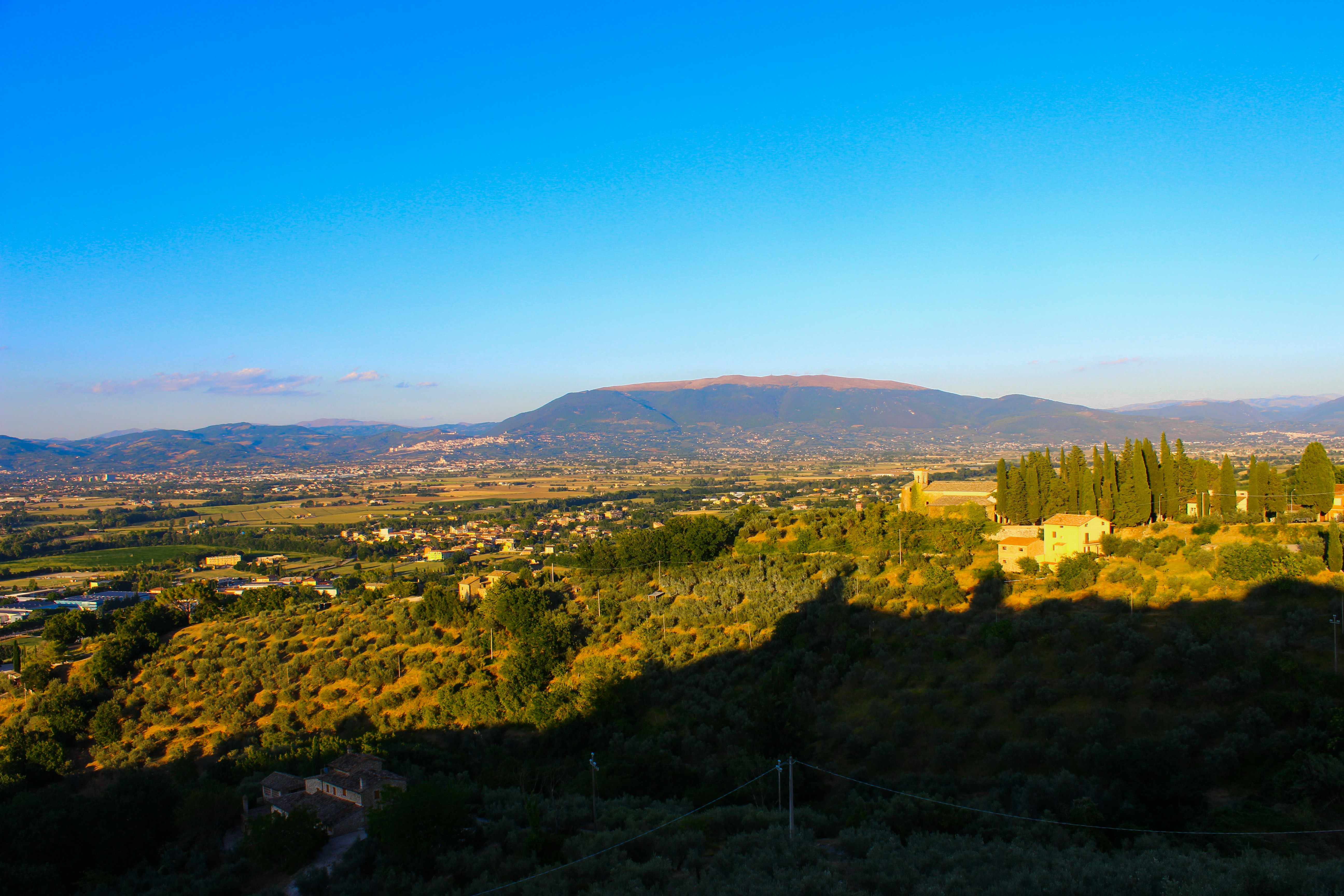 Photo by mattia_poli_04