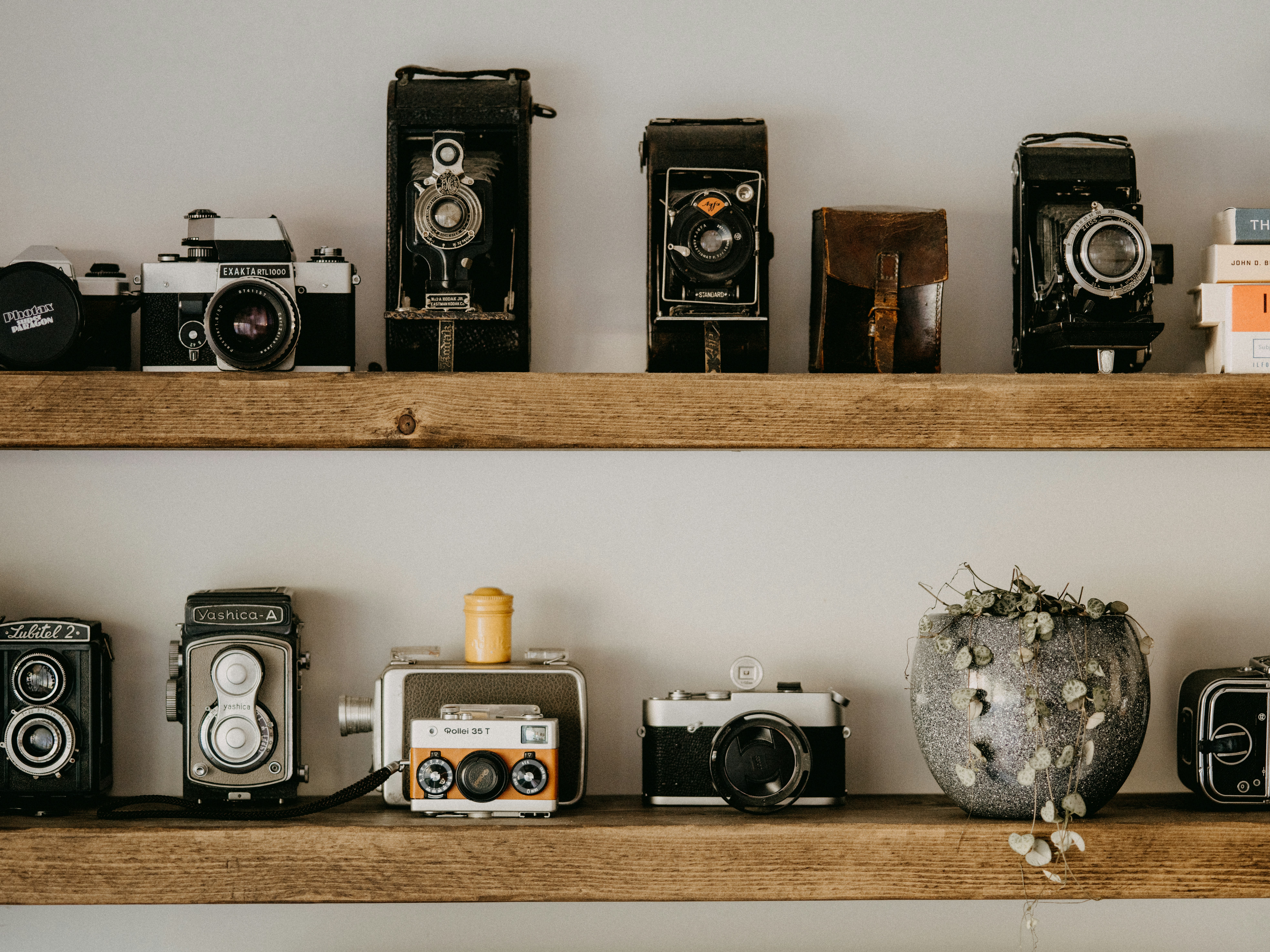 Photo by anniespratt