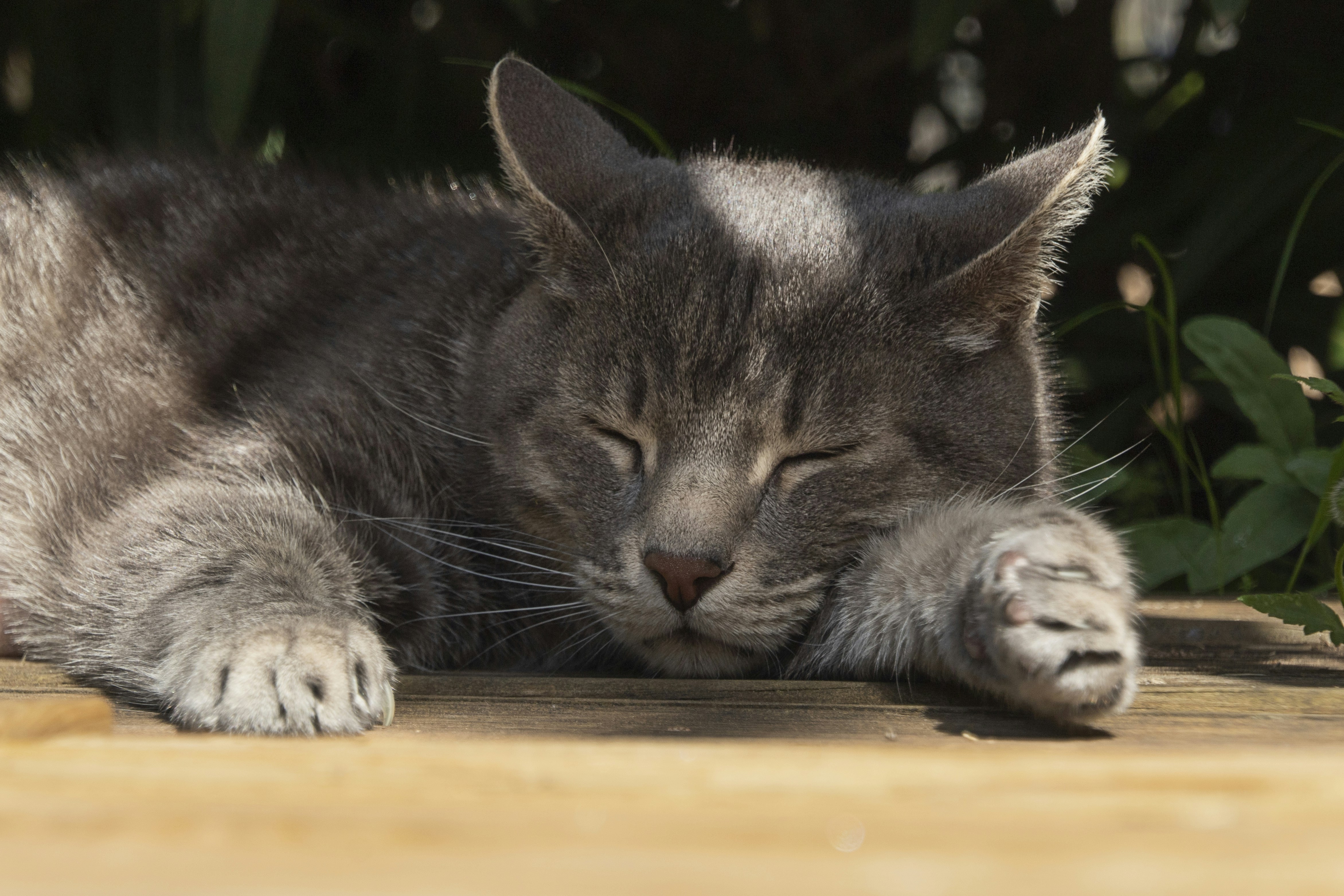 Peaceful sleep environment