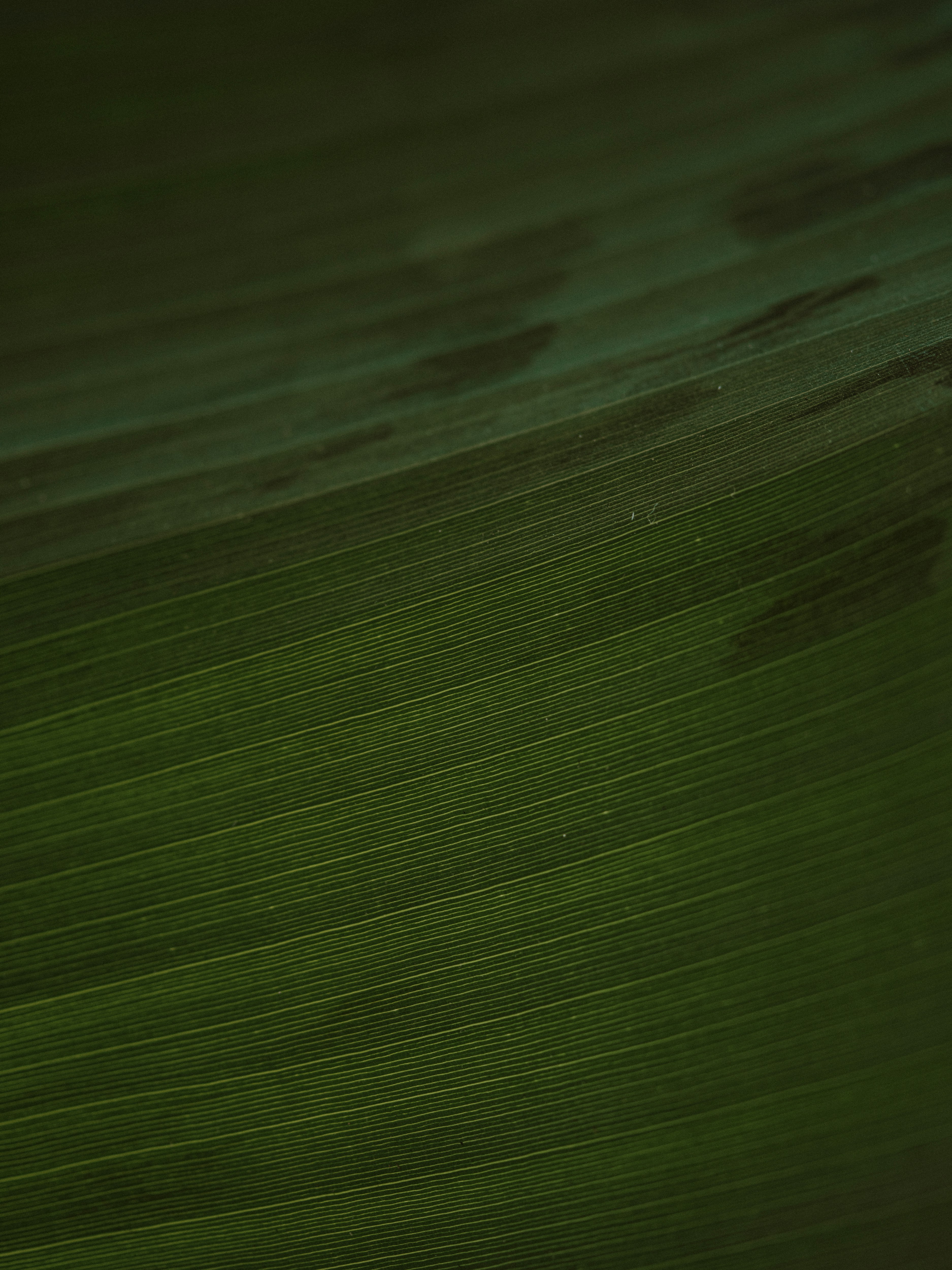 Photo by anniespratt