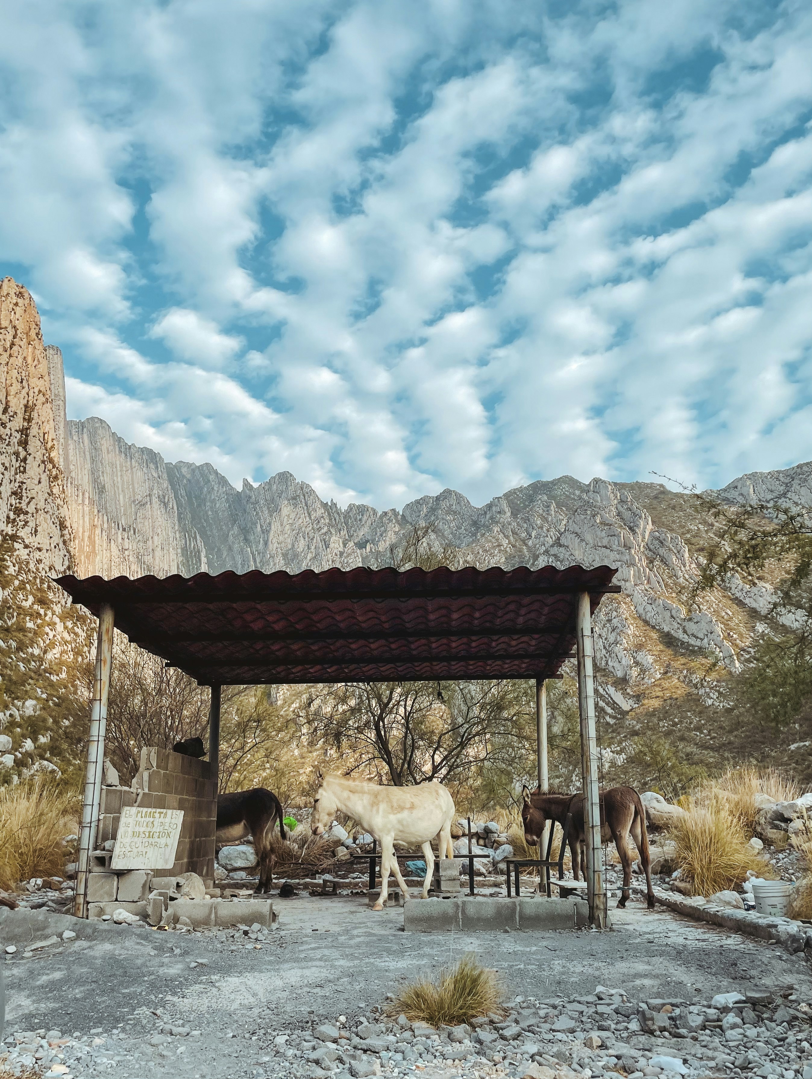 Towering limestone canyon walls of La Huasteca near Monterrey