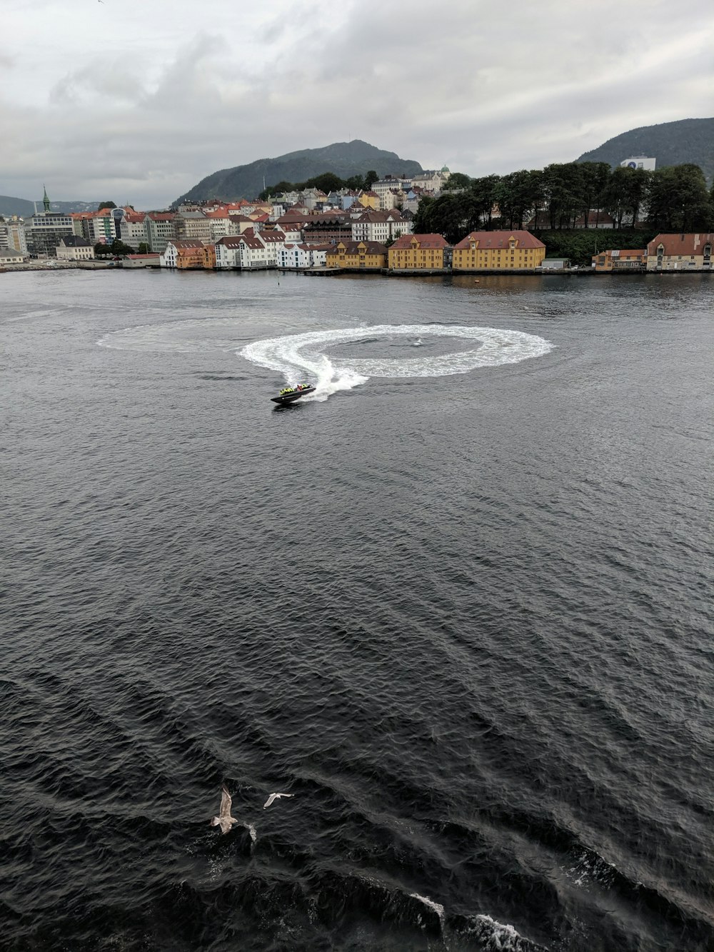 a person on a jet ski in the middle of a body of water