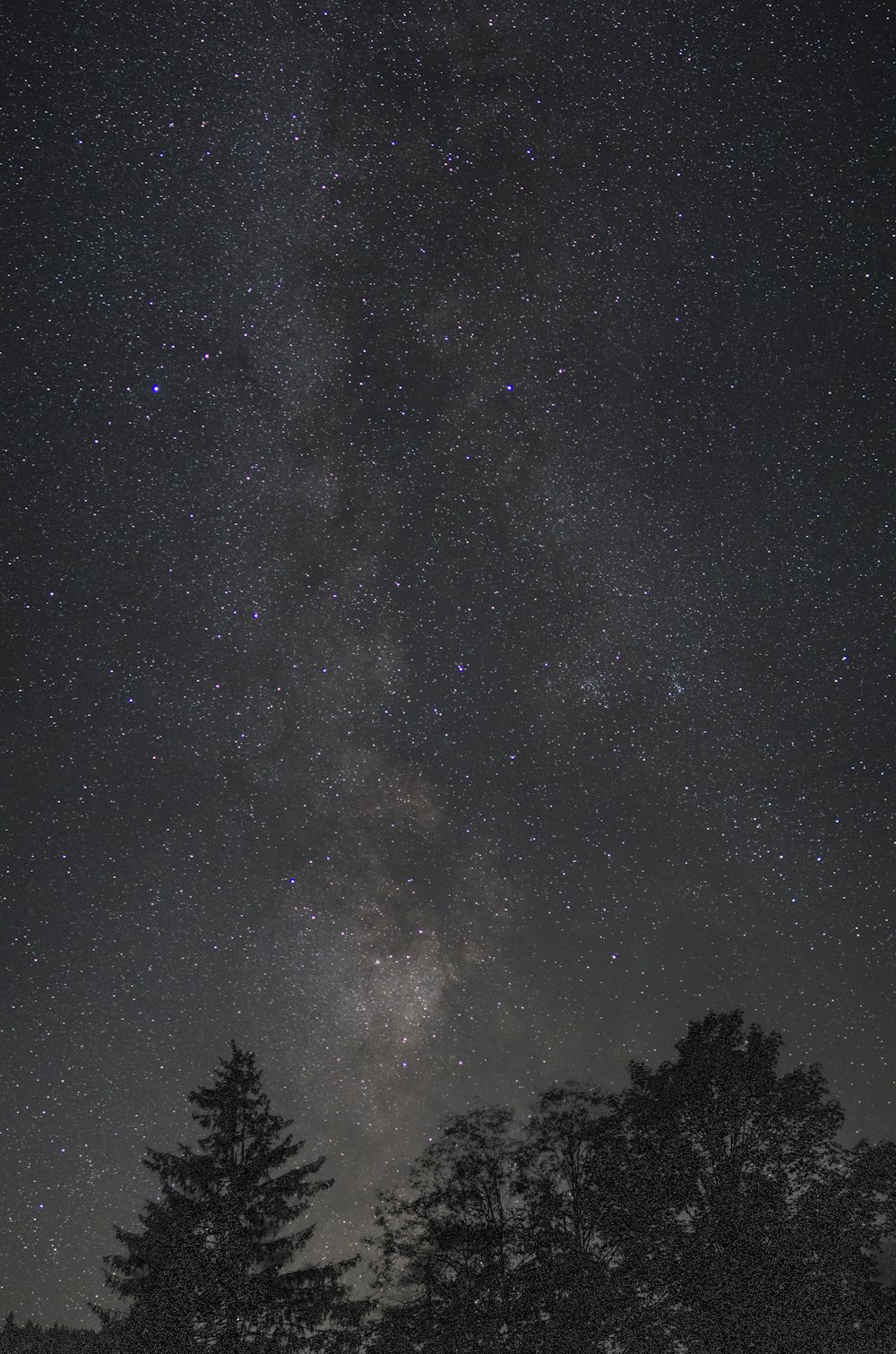 the night sky is filled with stars and trees