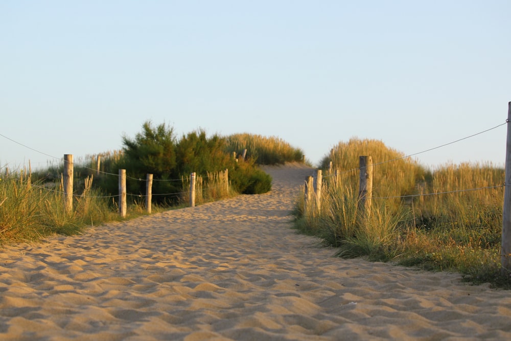 a sandy path leading to a grassy field