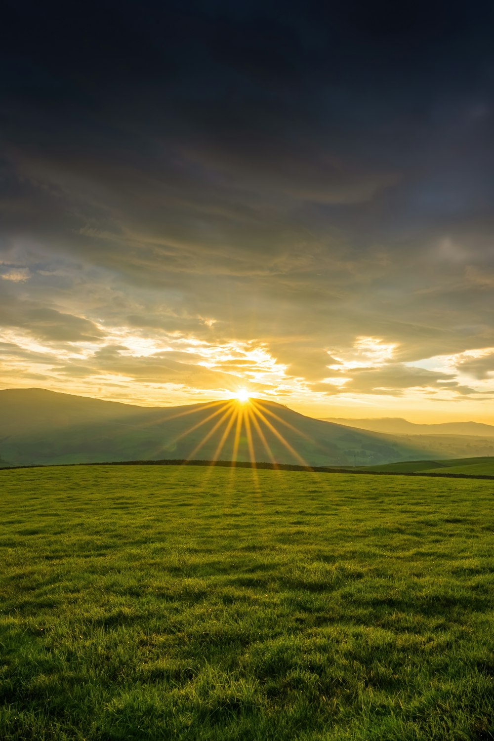 the sun is setting over a field of grass