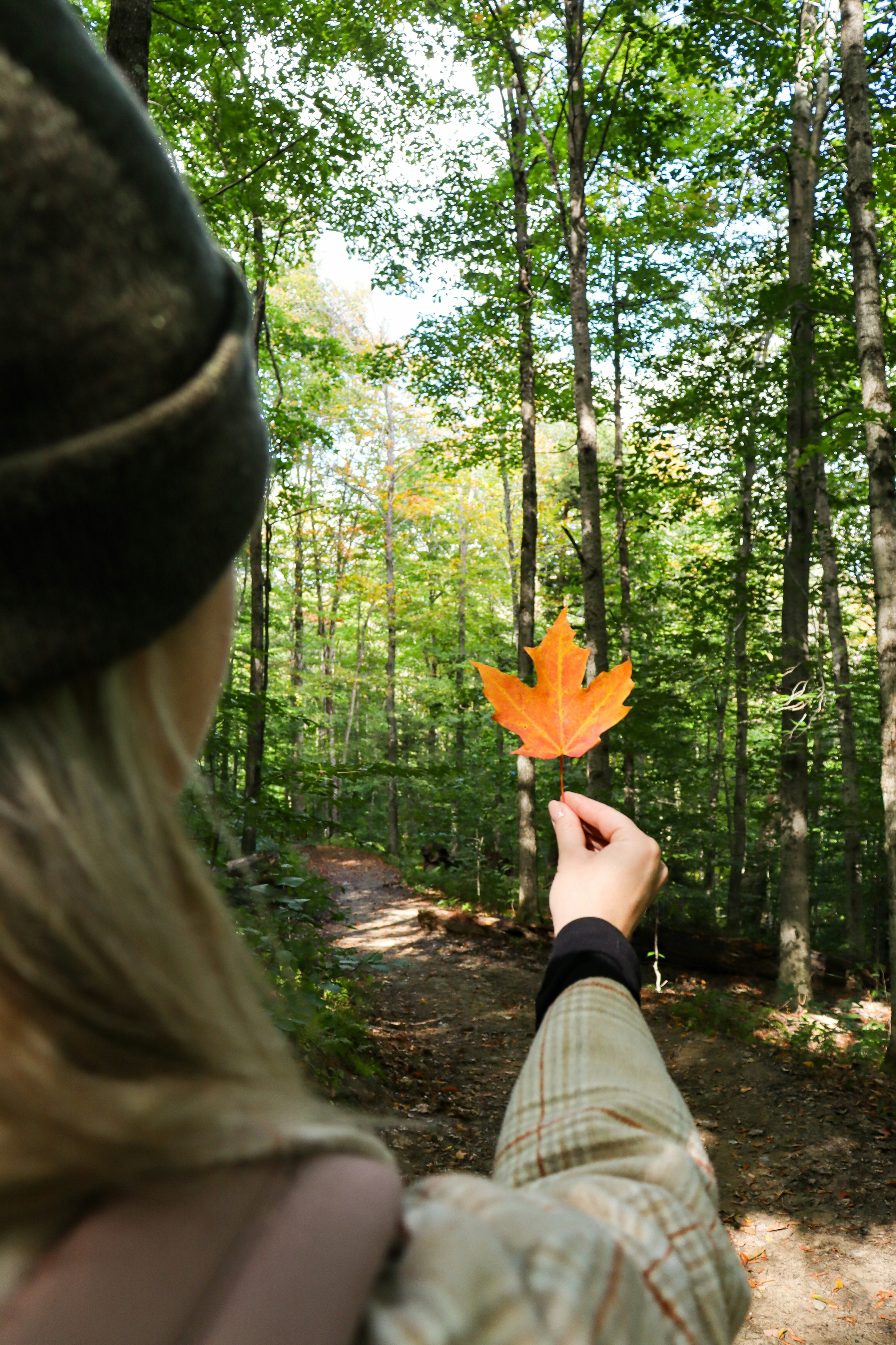 Una mujer sosteniendo una hoja en el bosque