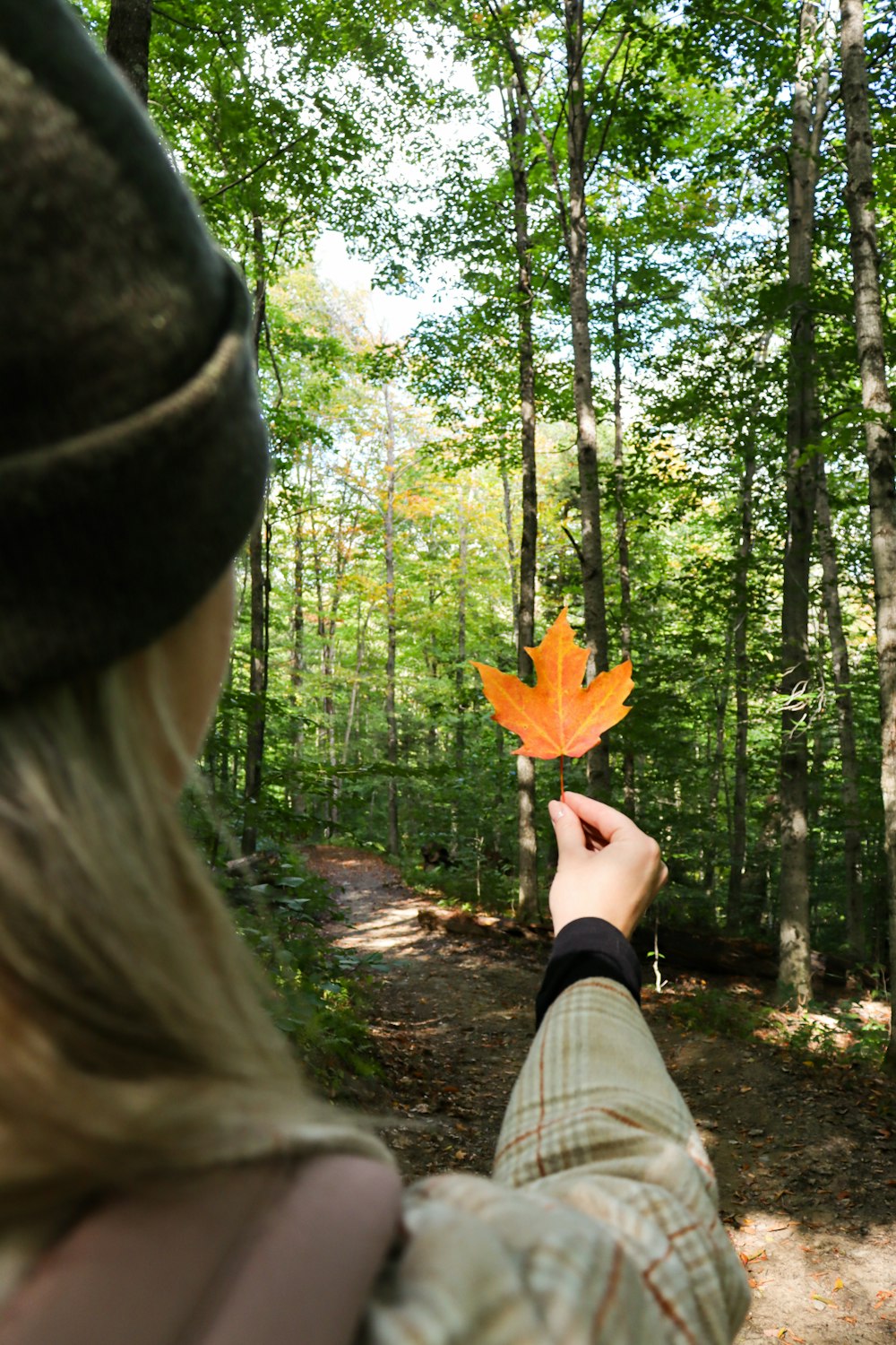 Una mujer sosteniendo una hoja en el bosque