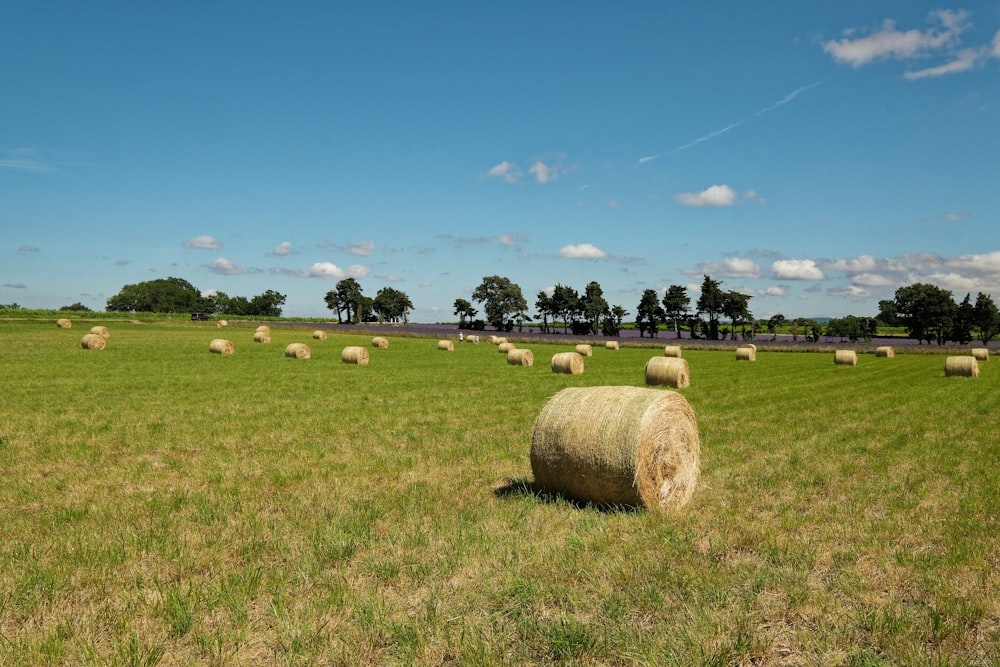 a field full of hay bales on a sunny day