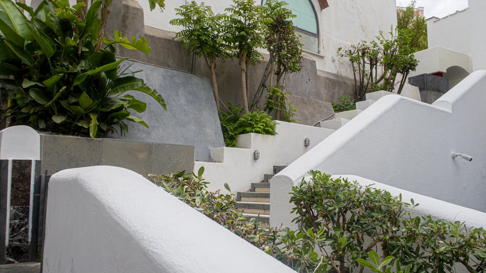 a white building with a bunch of plants on the side of it