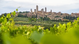 A picturesque medieval town with several tall stone towers rising prominently above the surrounding landscape. The foreground features lush green vineyards, while the town is nestled amidst rolling hills and olive groves.