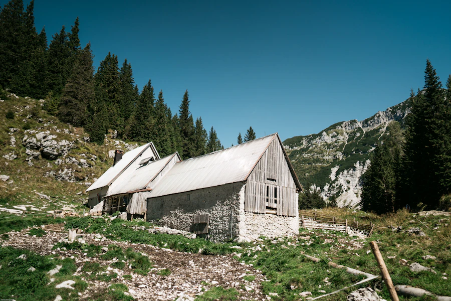 Planina Larch House, photo 2 of 3