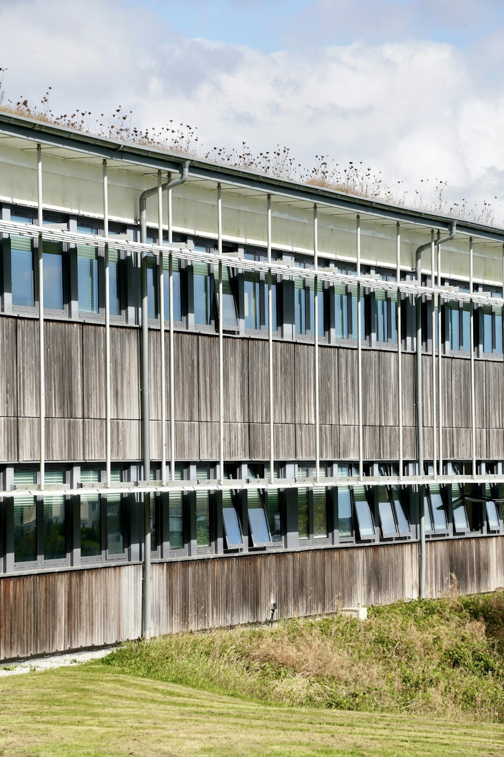 a tall building with lots of windows and birds on top of it