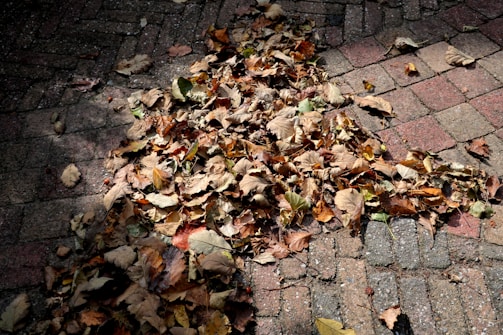 Kids sweeping leaves into a pile on a bright afternoon.