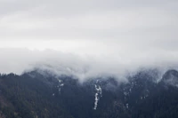 Best Season to Visit Narkanda: When to Go, When to Skip, and Why It Matters