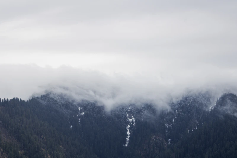 Best Season to Visit Narkanda: When to Go, When to Skip, and Why It Matters