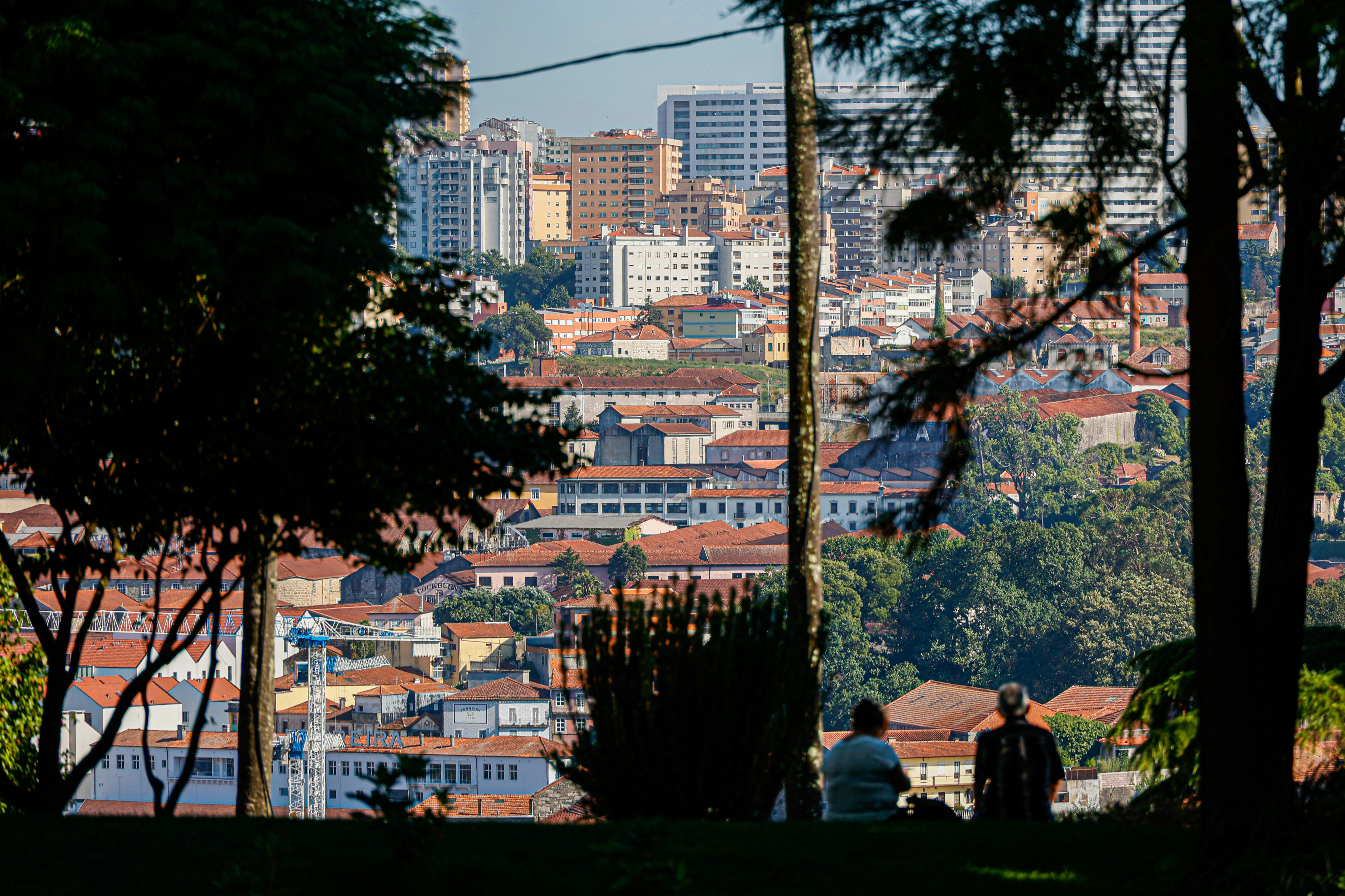 Photo by gugagustavo6