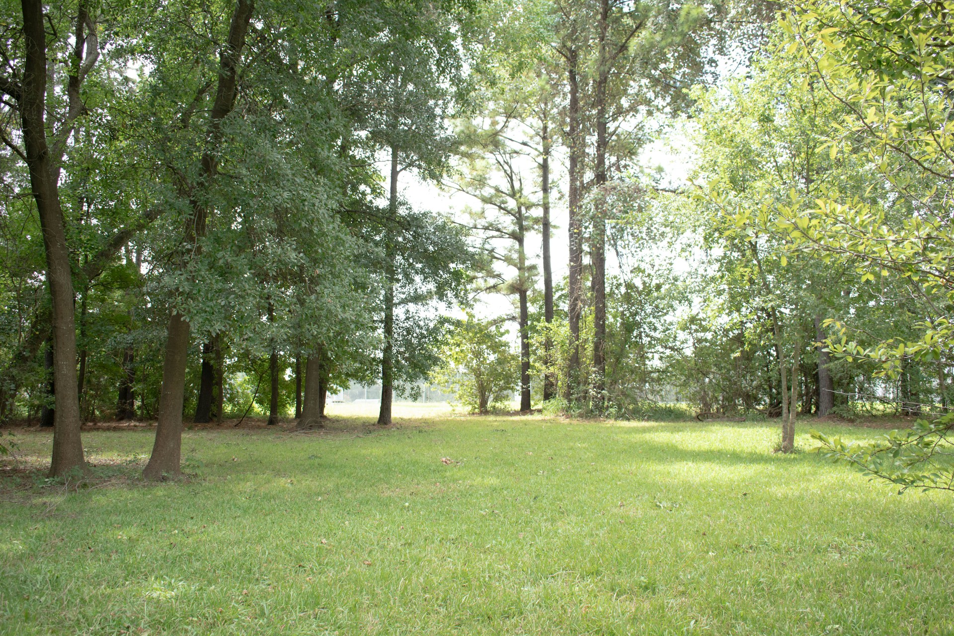 gray computer monitor